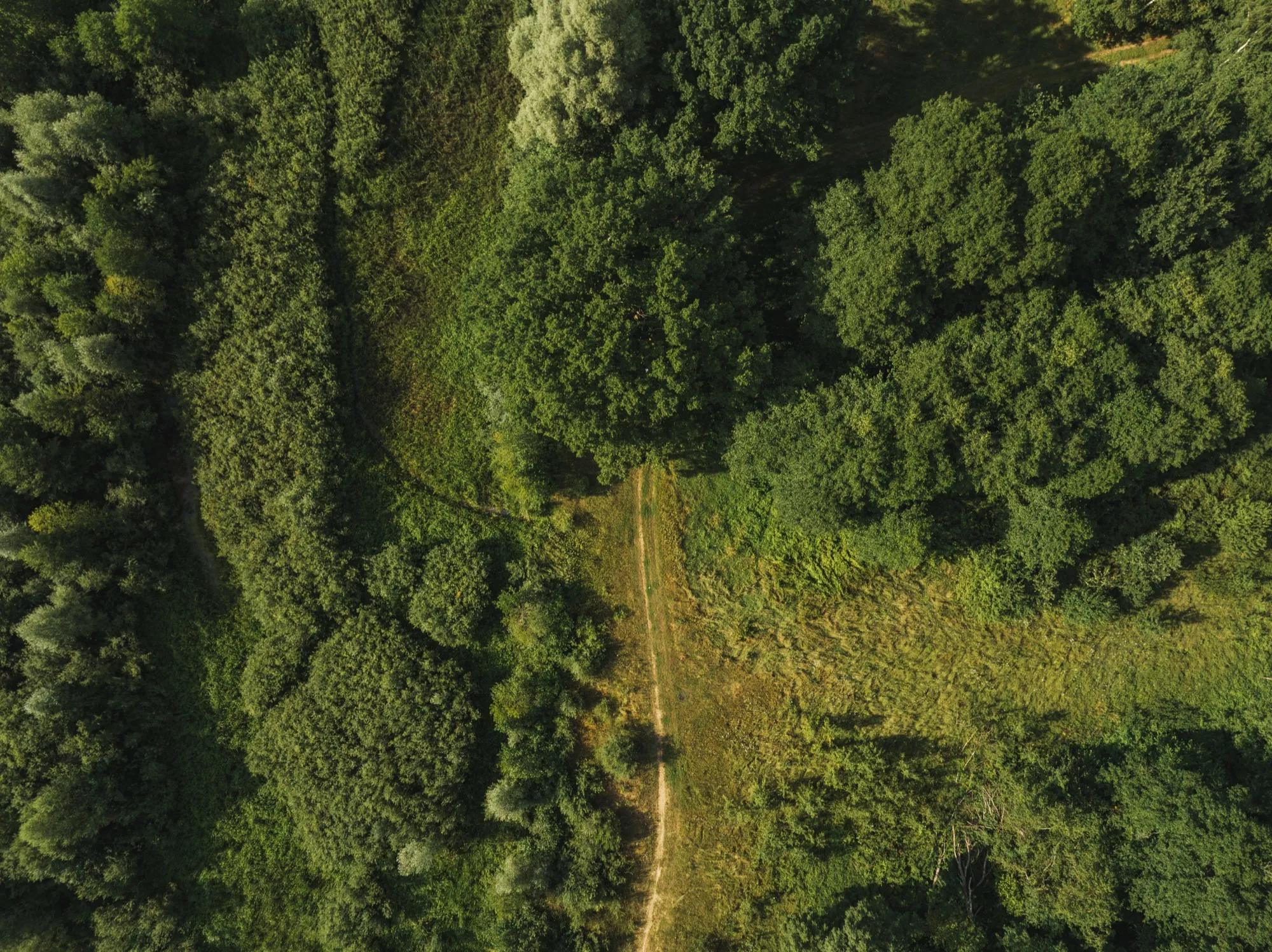 Aerial photograph — Belarus — Earthly