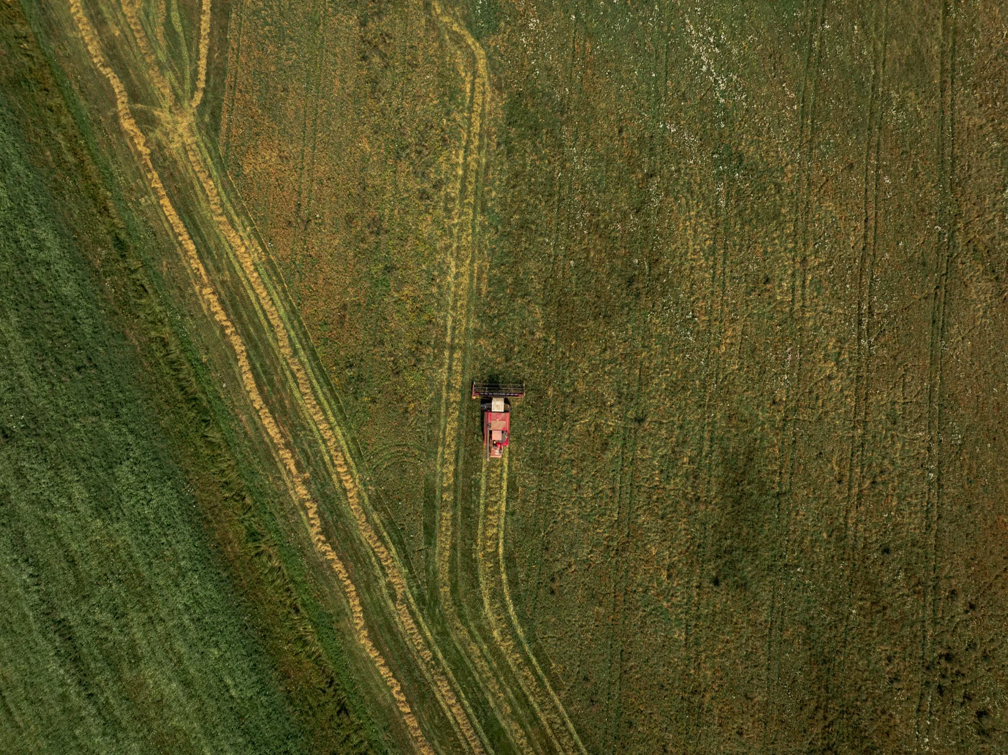 Aerial photograph — Belarus — Earthly