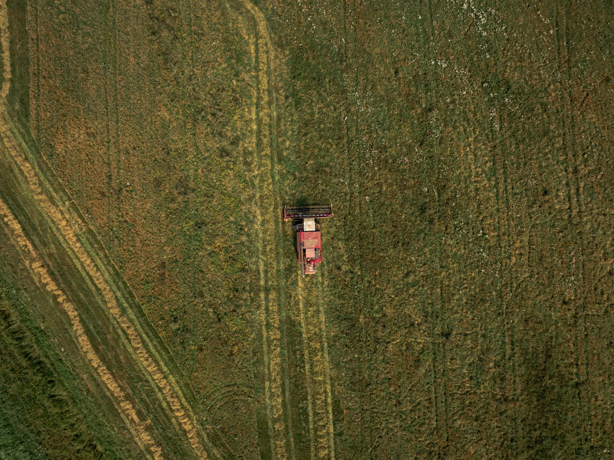 Aerial photograph — Belarus — Earthly