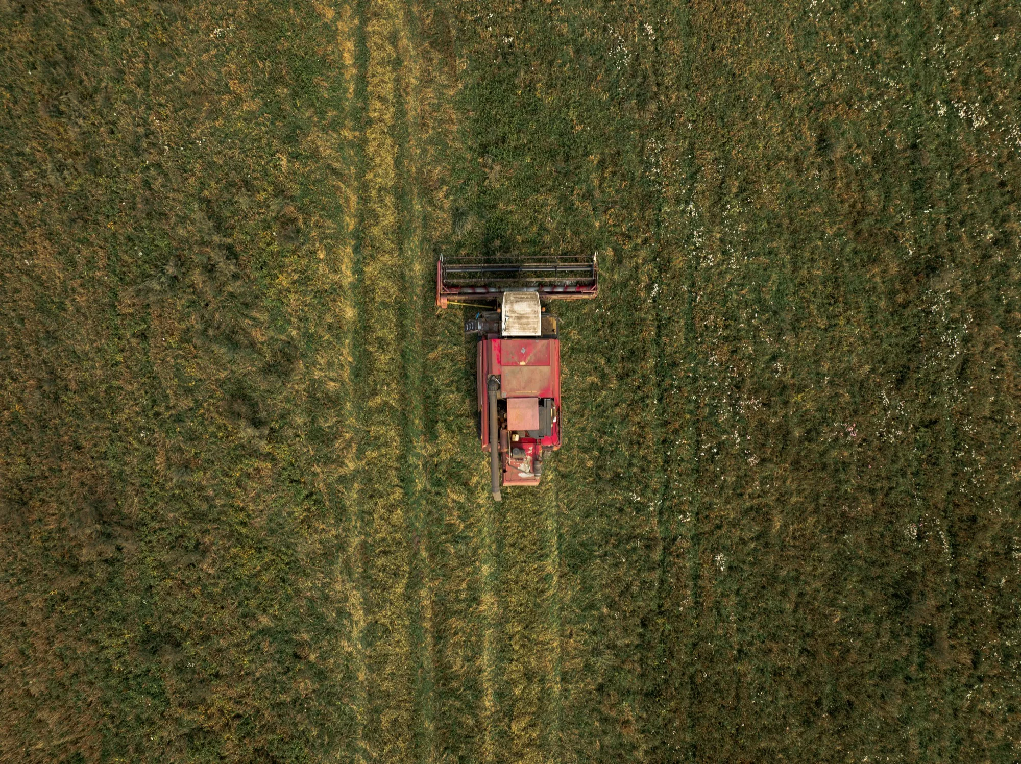 Aerial photograph — Belarus — Earthly