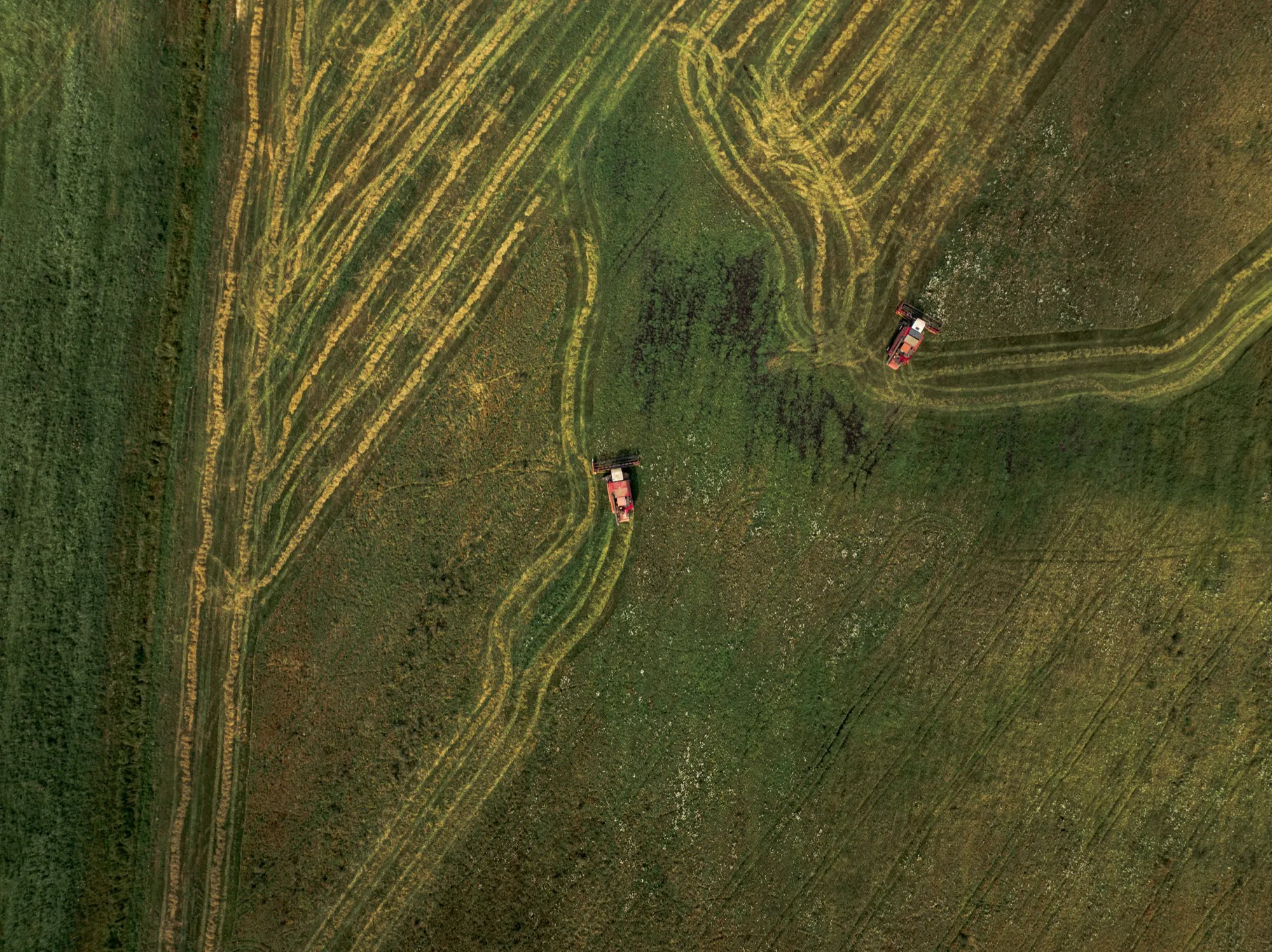 Aerial photograph — Belarus — Earthly
