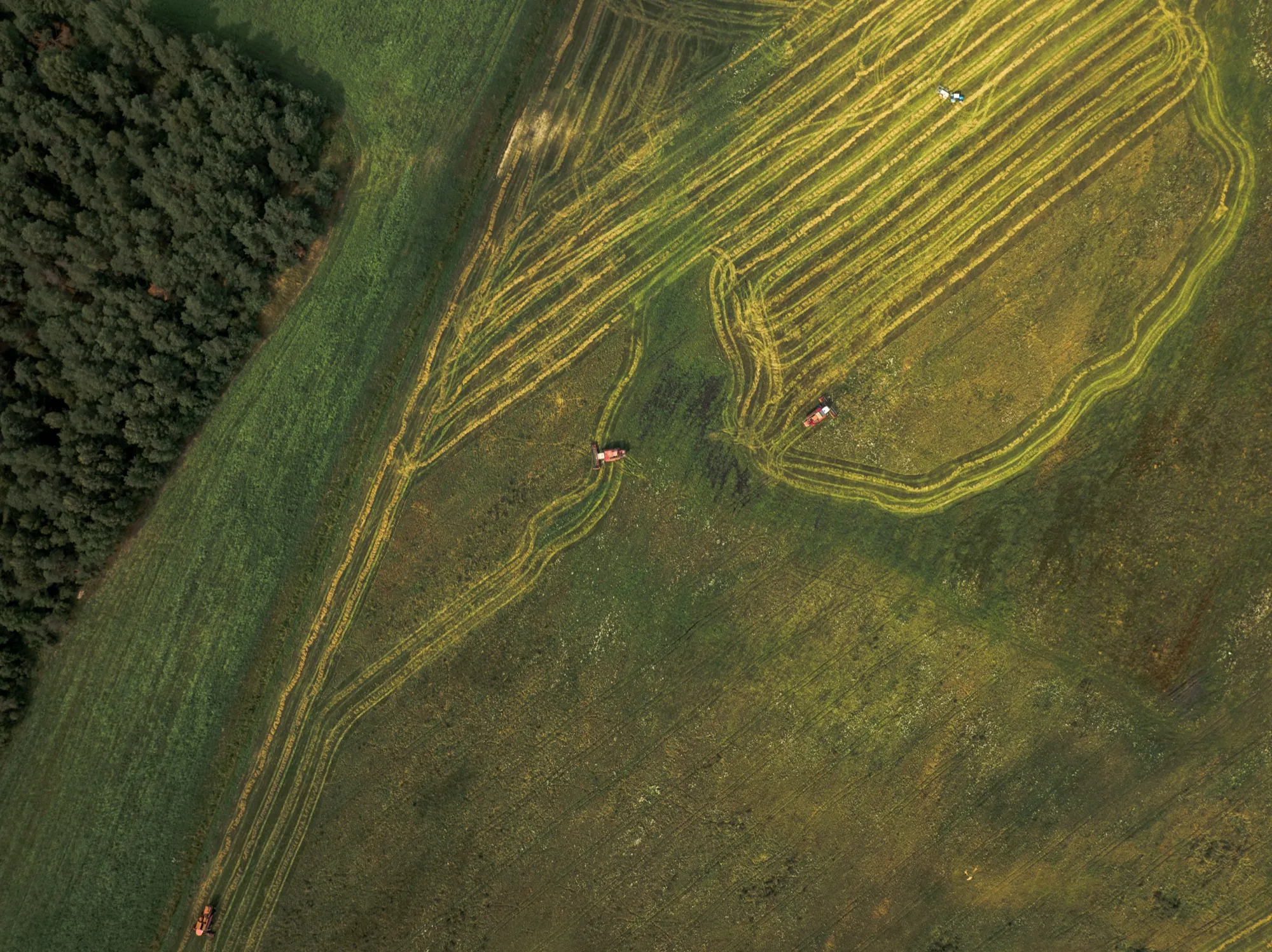 Aerial photograph — Belarus — Earthly