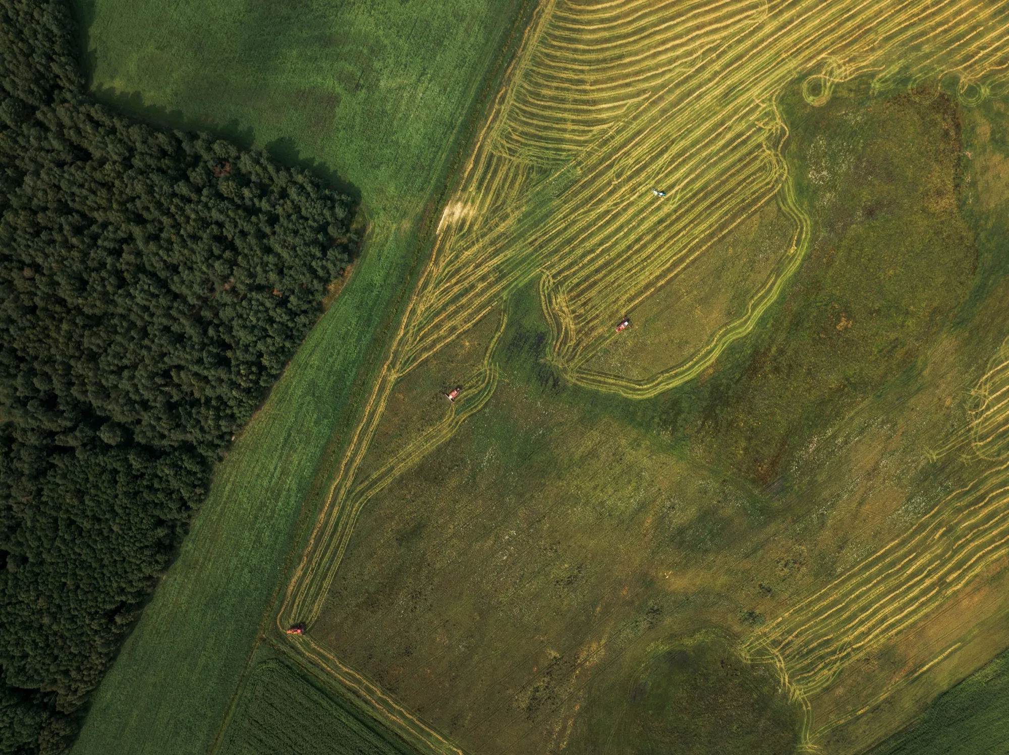 Aerial photograph — Belarus — Earthly