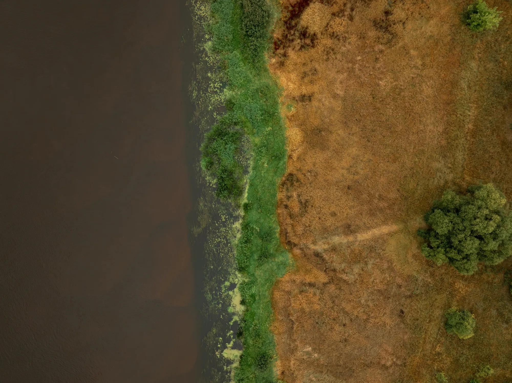 Aerial photograph — Belarus — Earthly