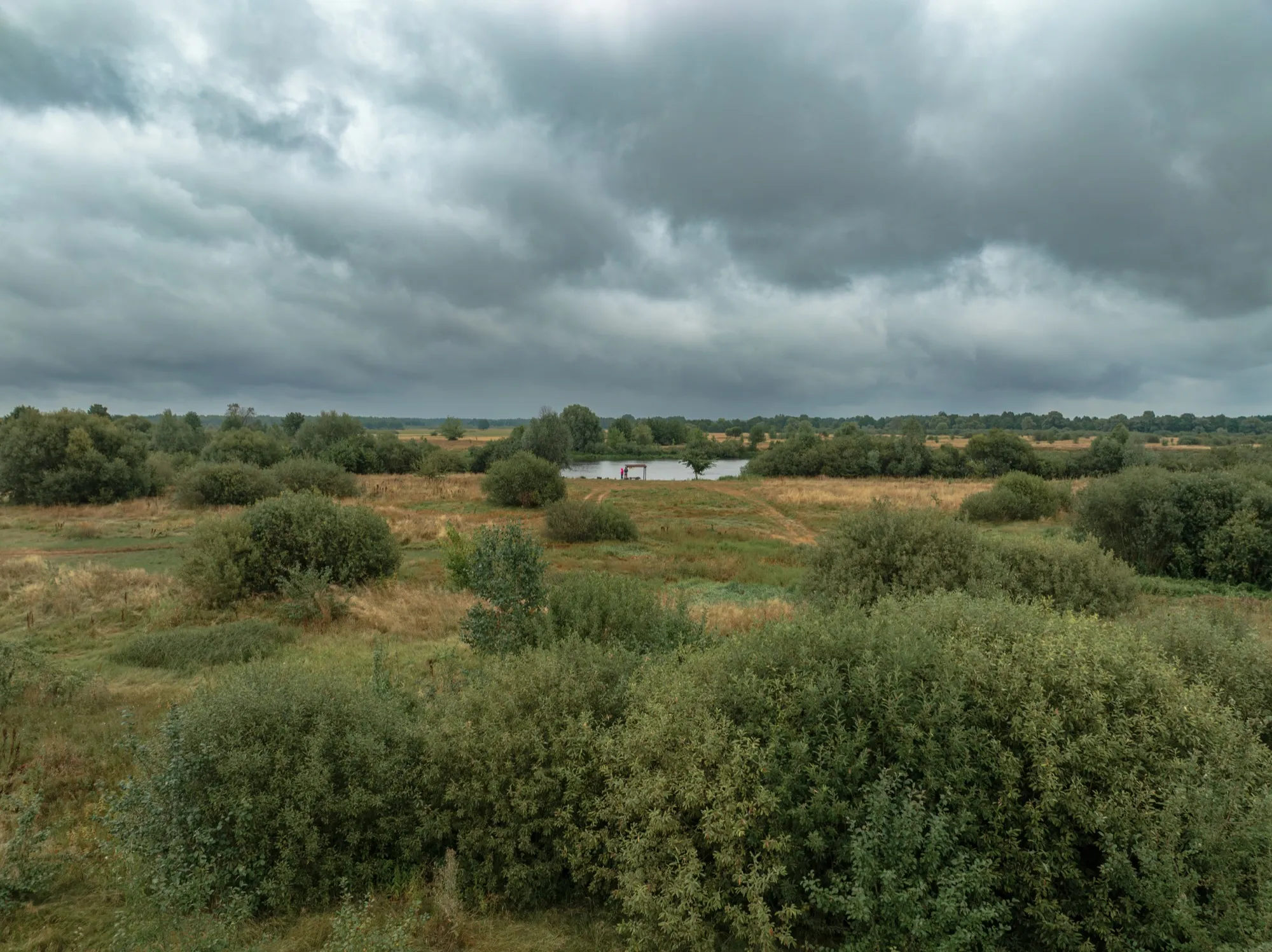 Aerial photograph — Belarus — Earthly