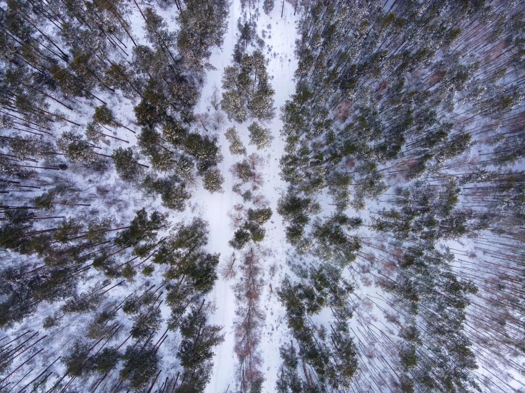 Aerial photograph — Belarus — Earthly