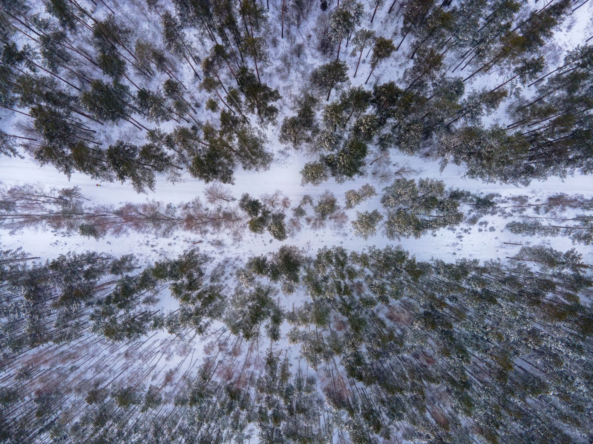 Aerial photograph — Belarus — Earthly