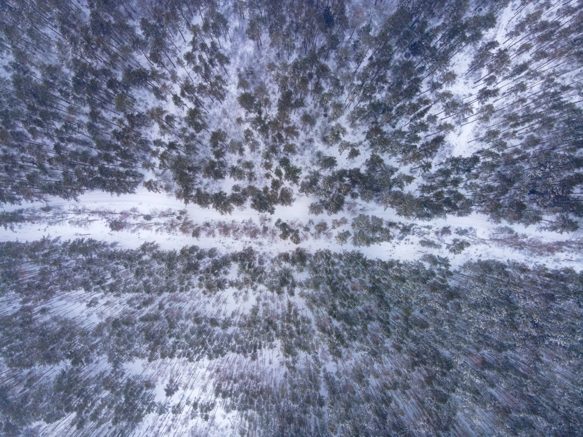 Aerial photograph — Belarus — Earthly