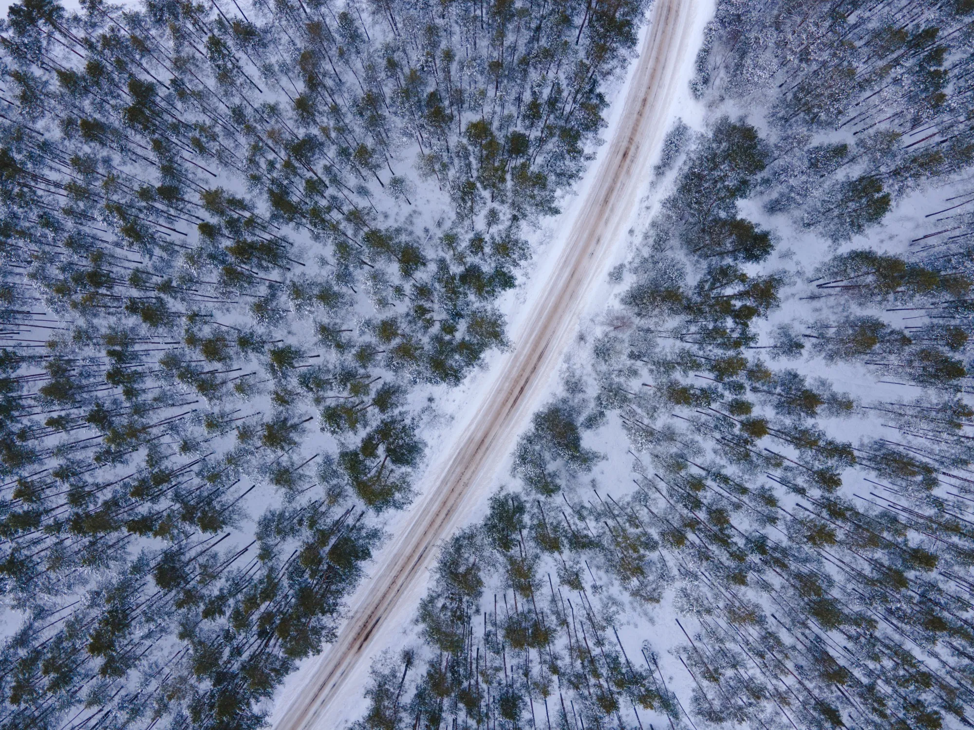 Aerial photograph — Belarus — Earthly