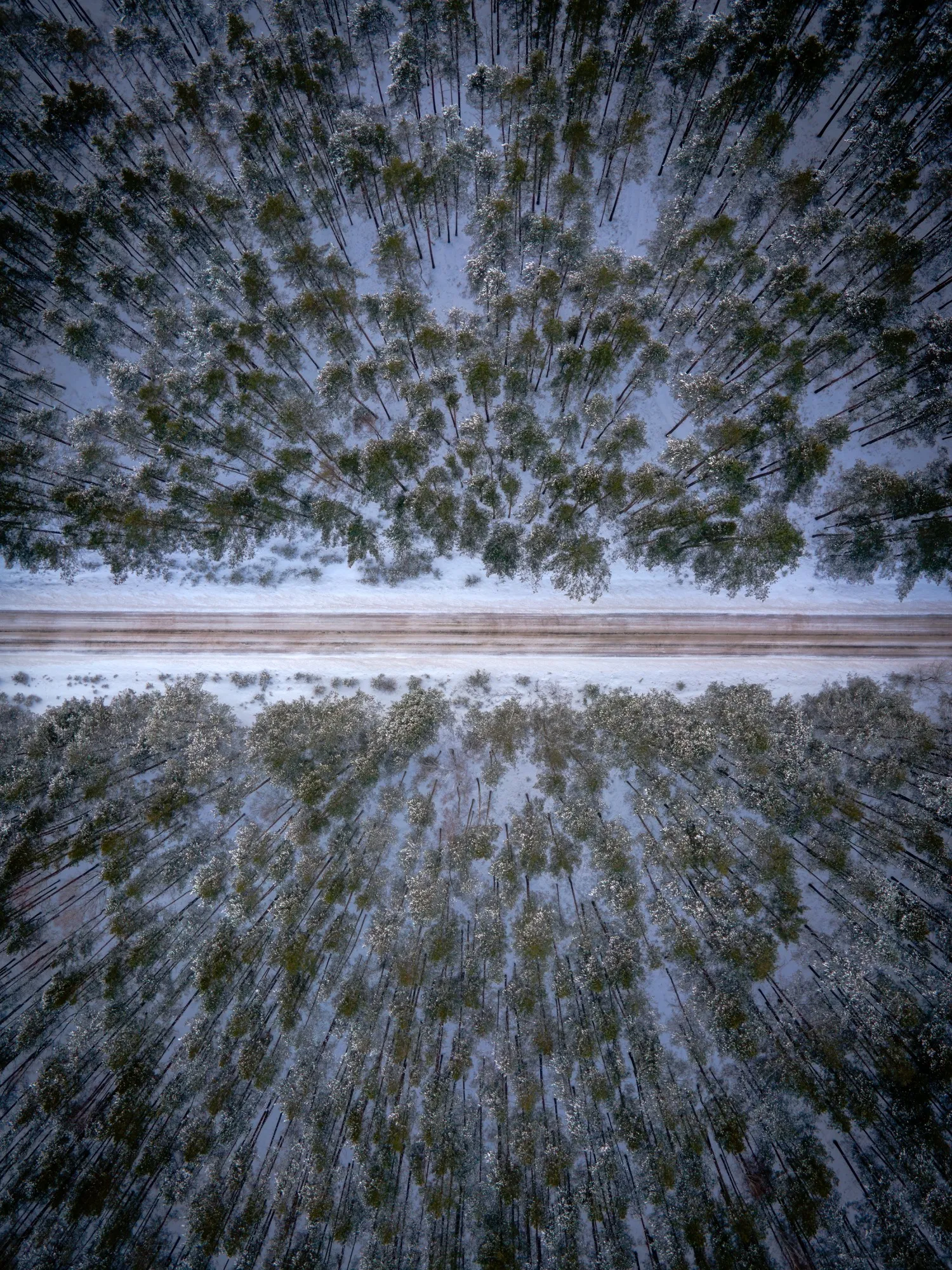 Aerial photograph — Belarus — Earthly