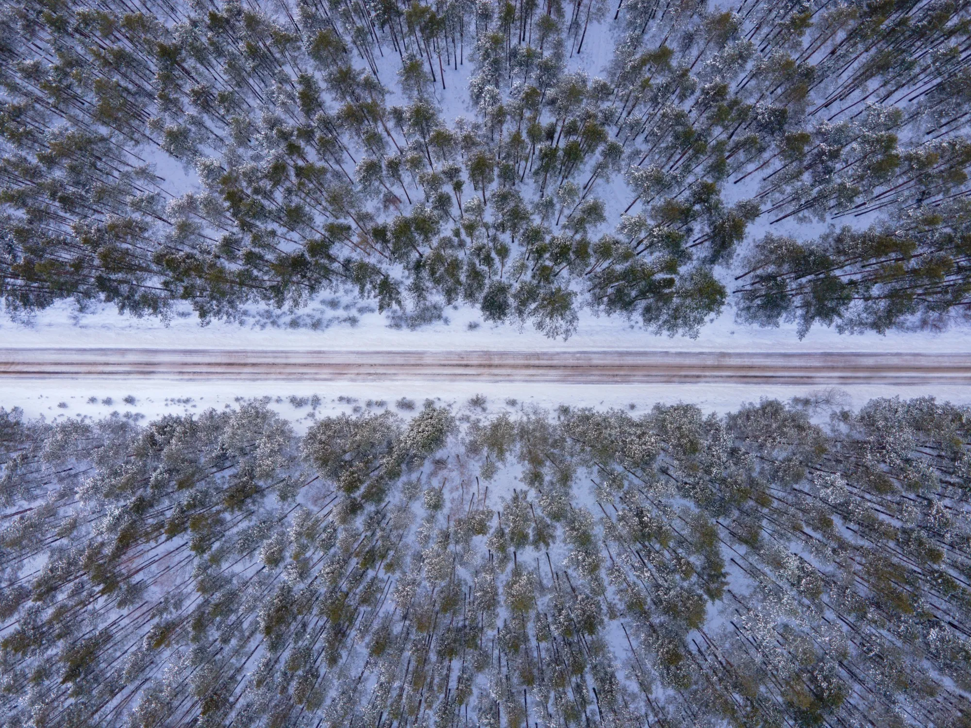 Aerial photograph — Belarus — Earthly