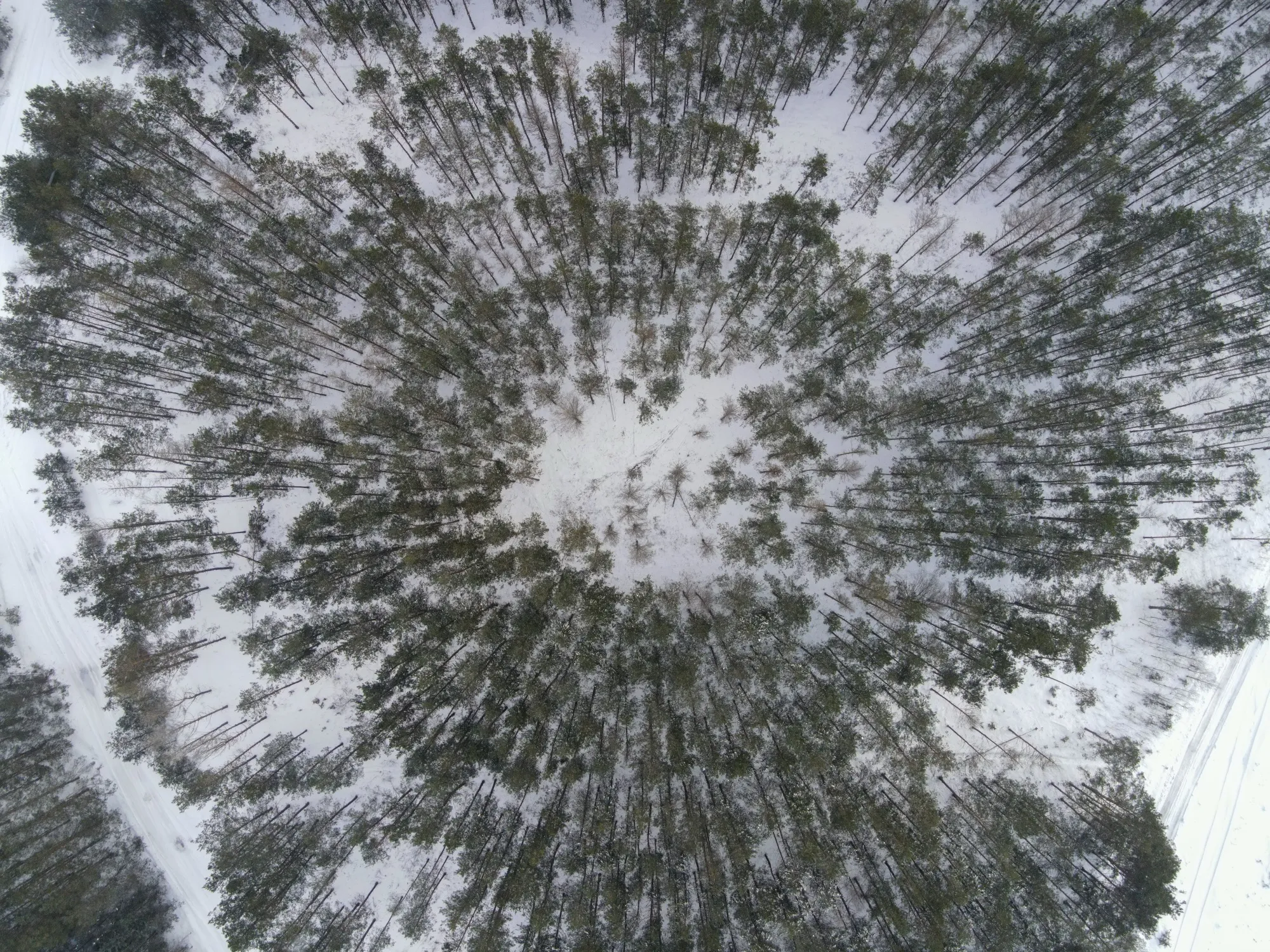 Aerial photograph — Belarus — Earthly