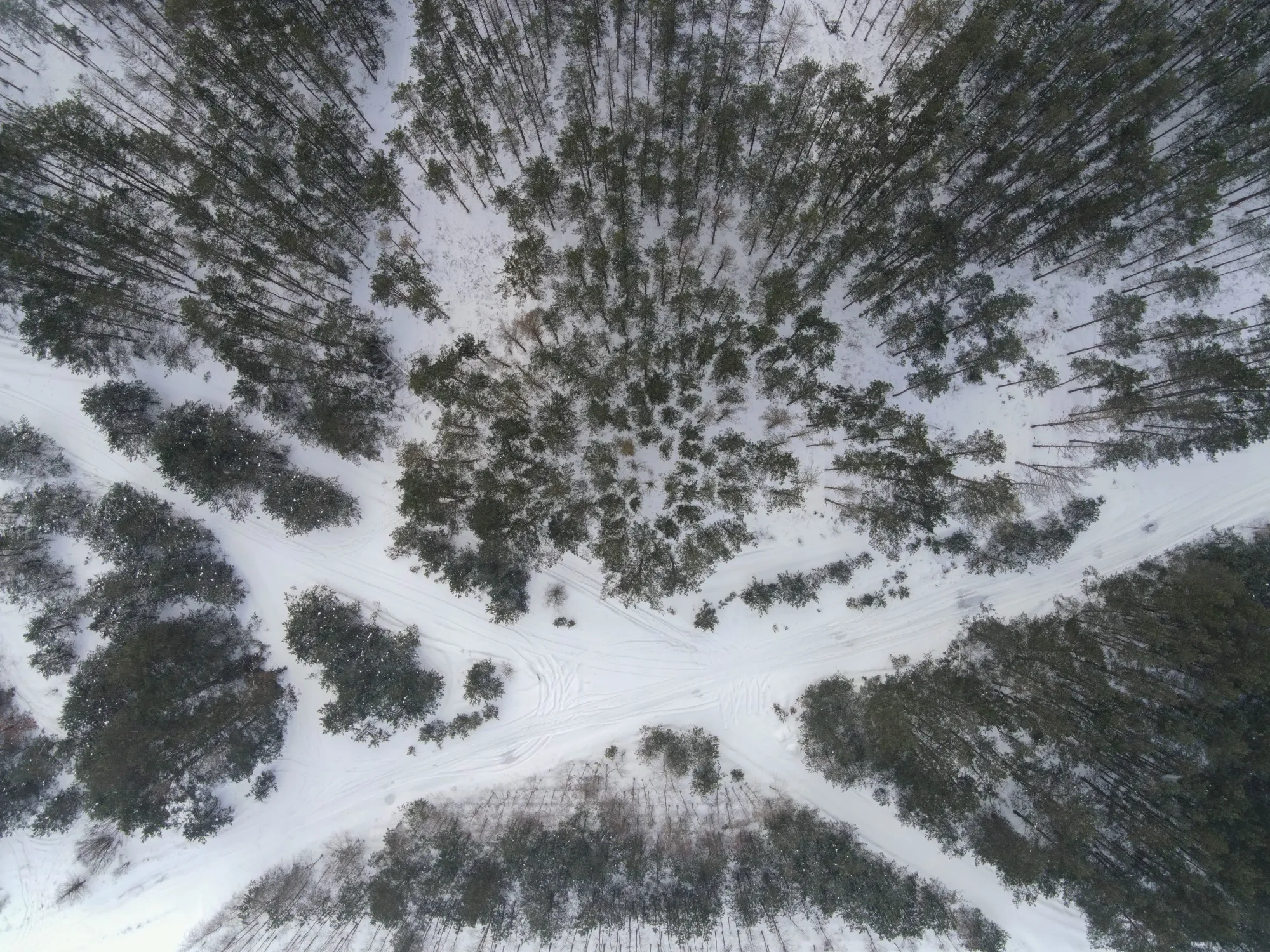 Aerial photograph — Belarus — Earthly