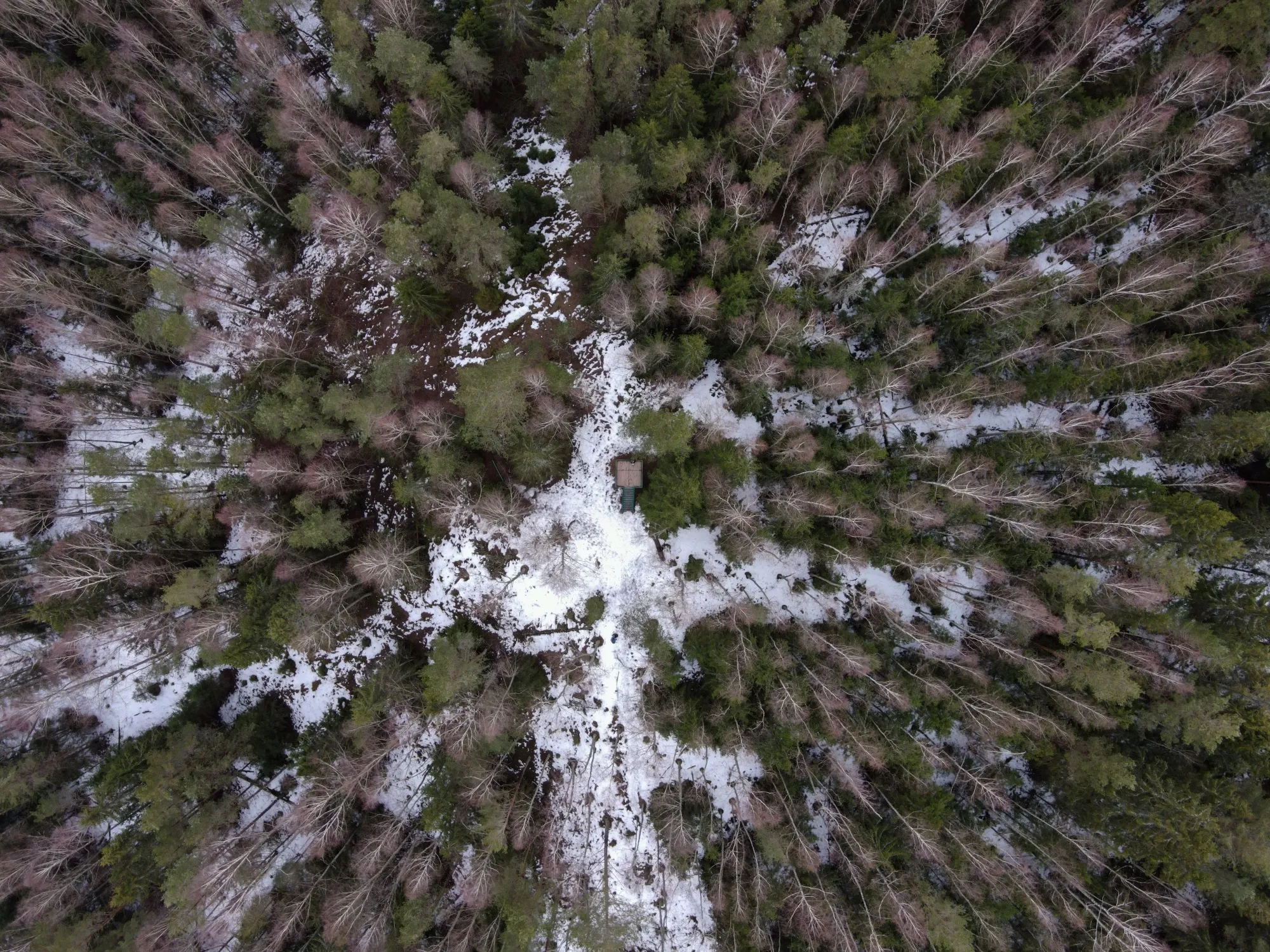 Aerial photograph — Belarus — Earthly
