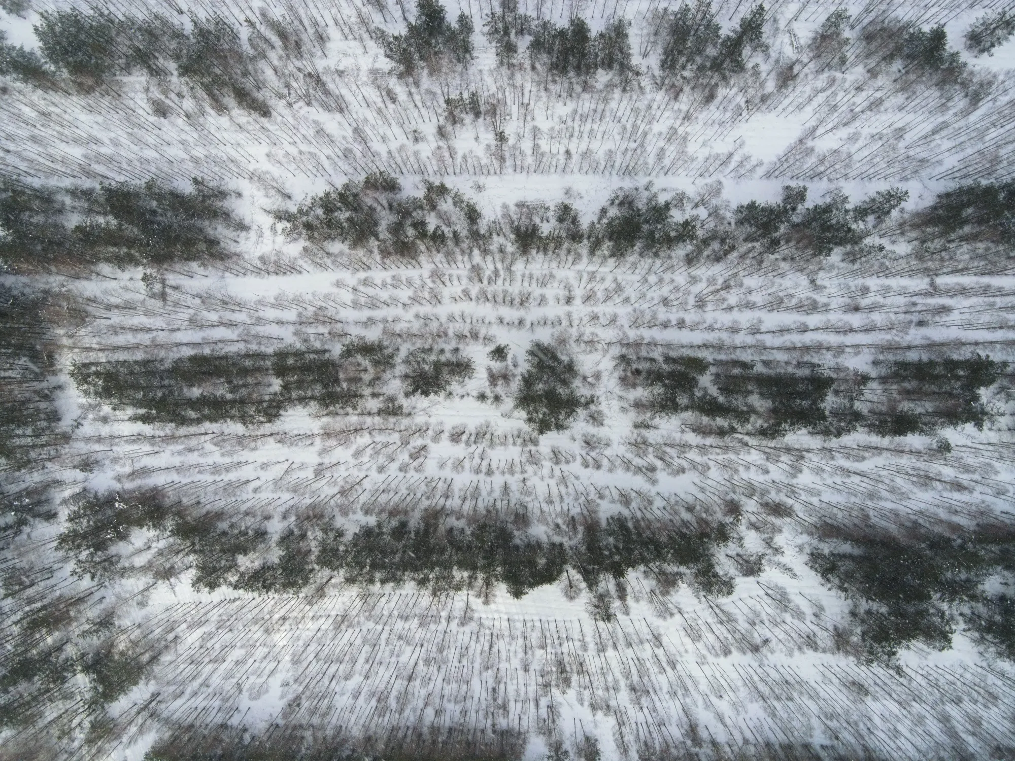 Aerial photograph — Belarus — Earthly