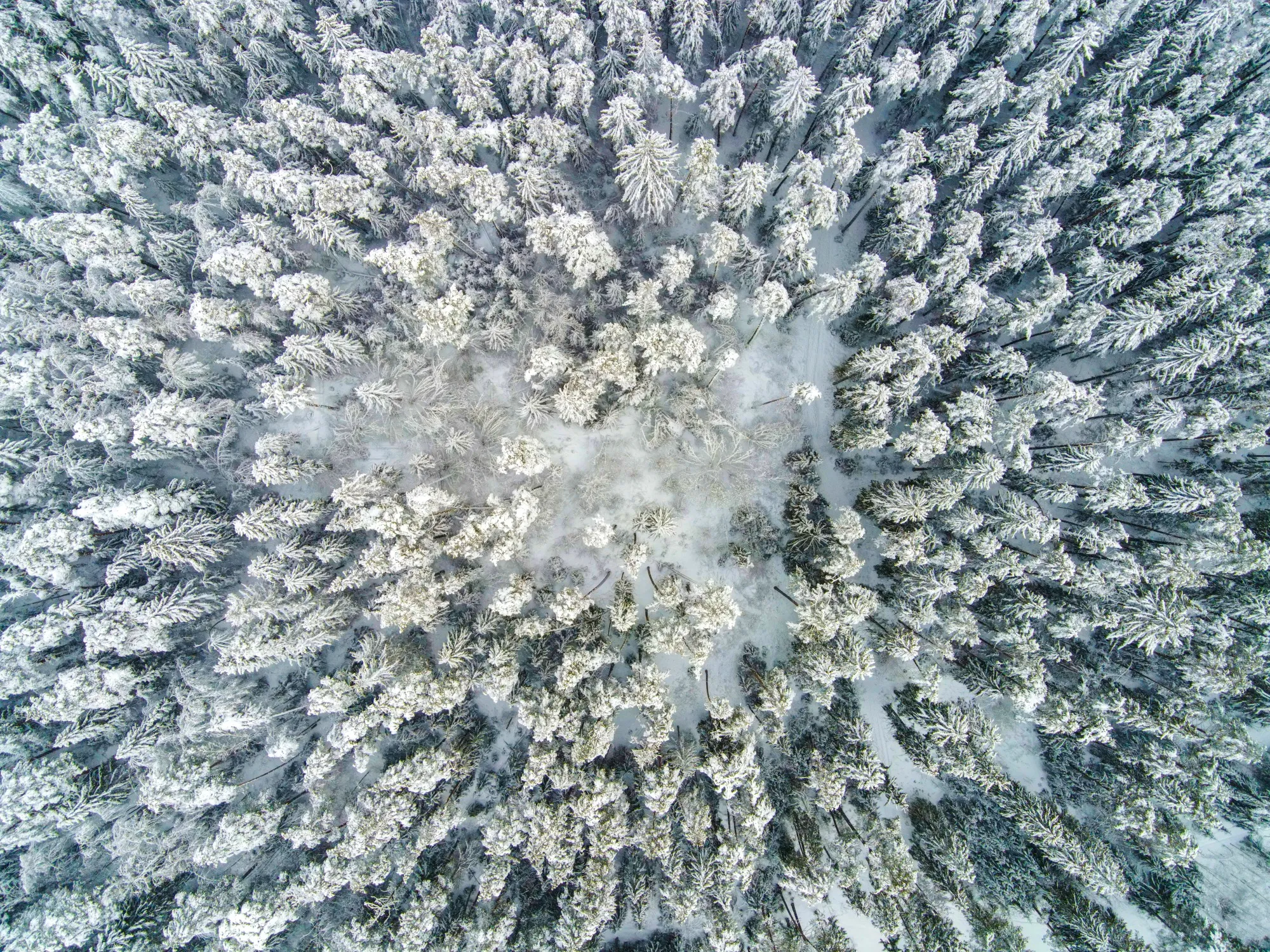 Aerial photograph — Belarus — Earthly