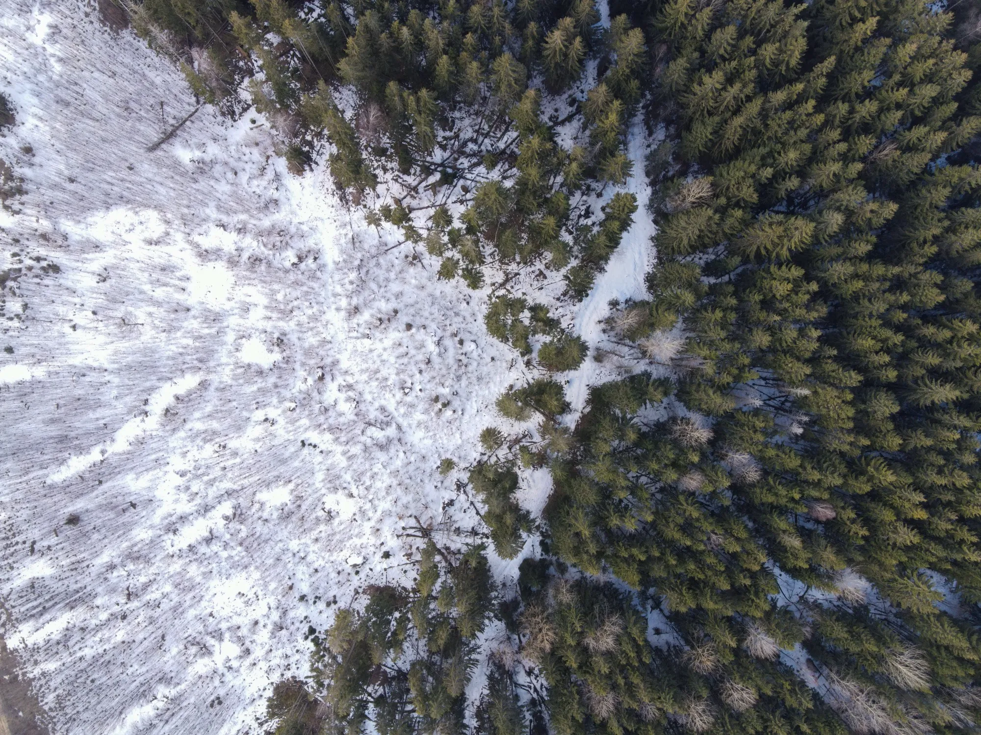 Aerial photograph — Belarus — Earthly