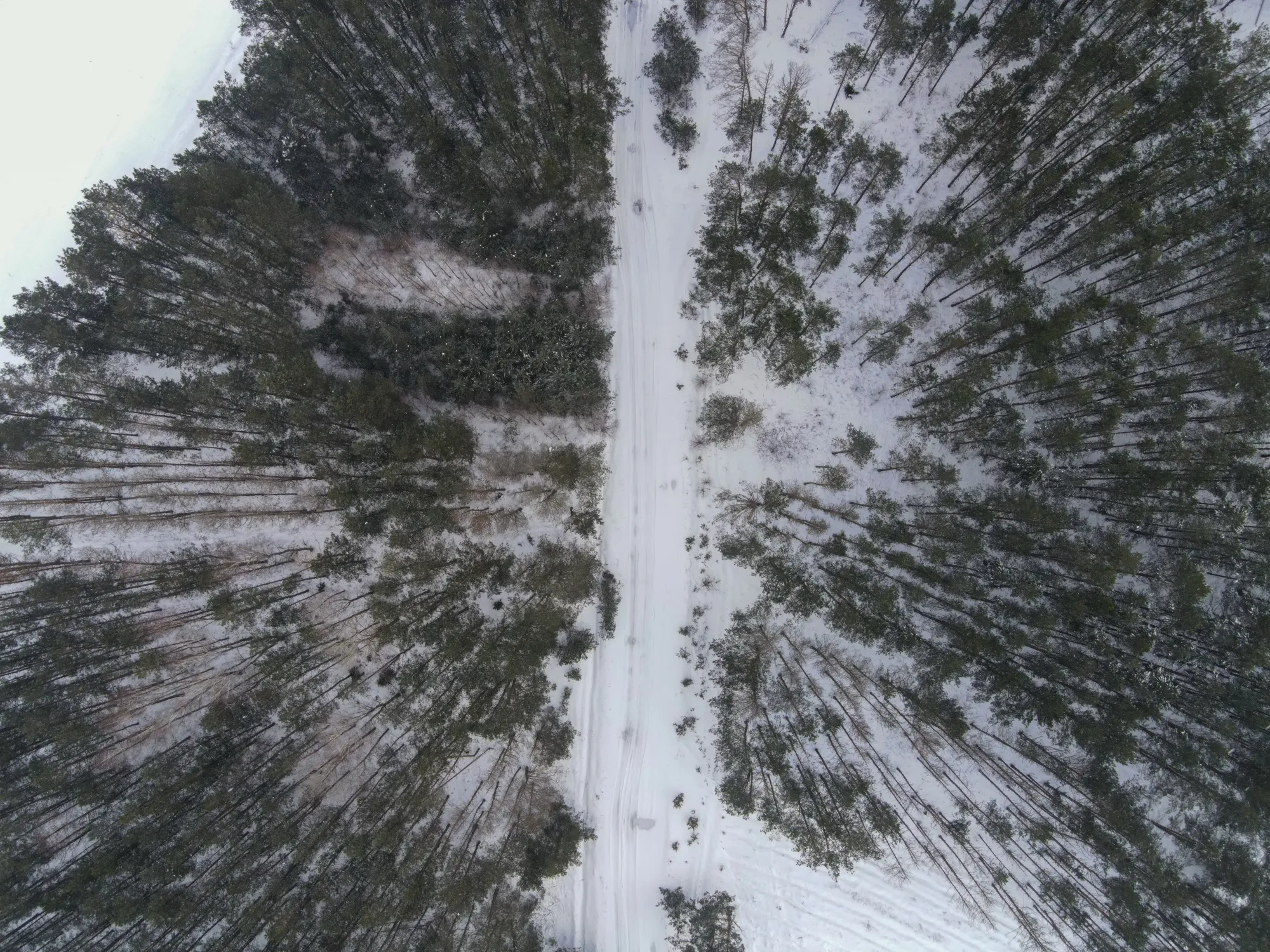 Aerial photograph — Belarus — Earthly