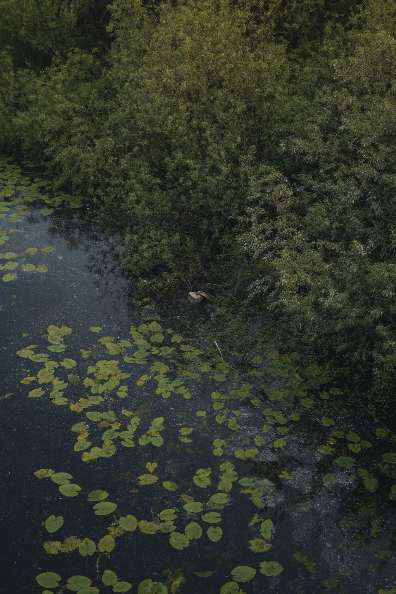 Aerial photograph — Belarus — Earthly