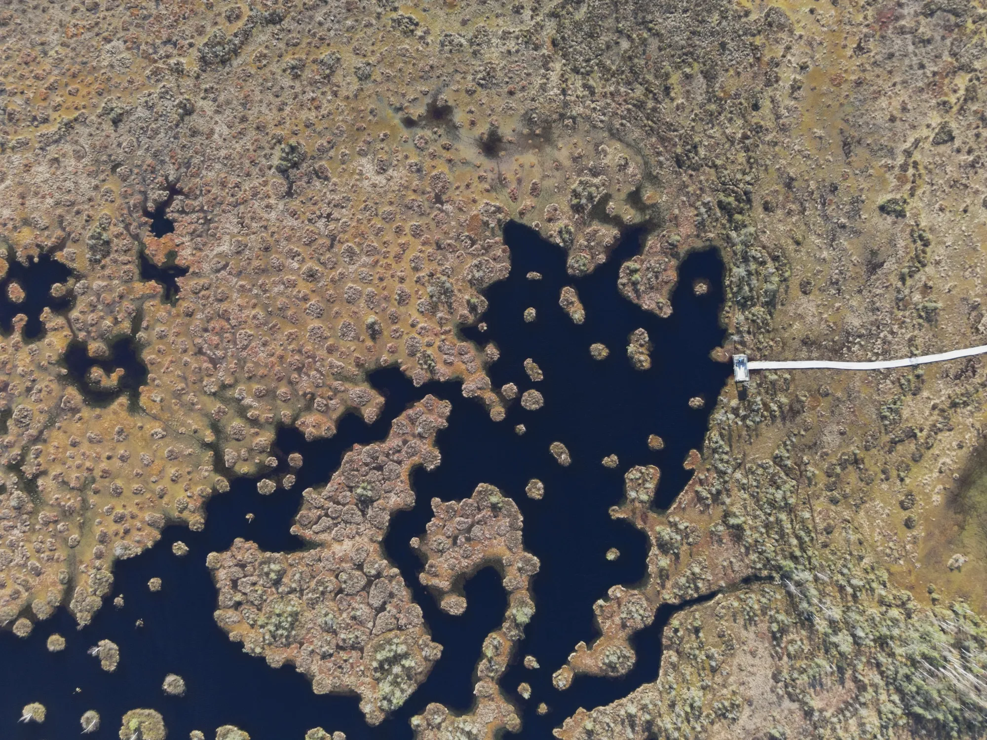 Aerial photograph — Belarus — Earthly