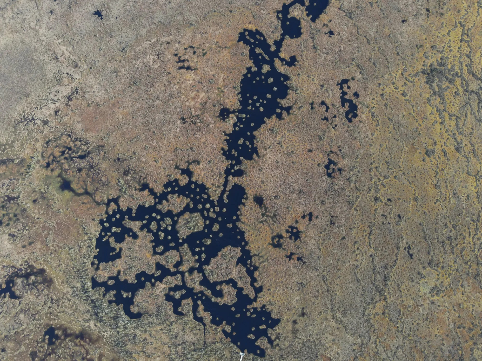 Aerial photograph — Belarus — Earthly