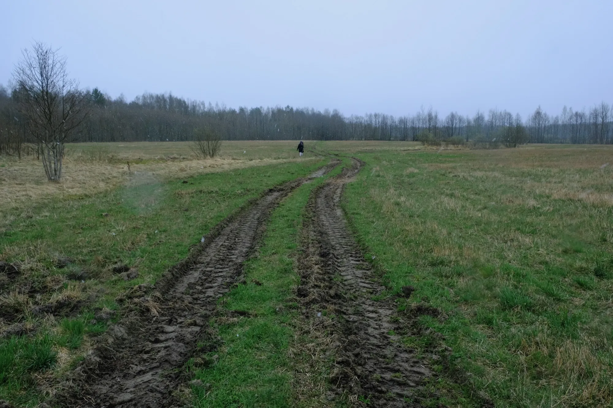 Aerial photograph — Belarus — Earthly