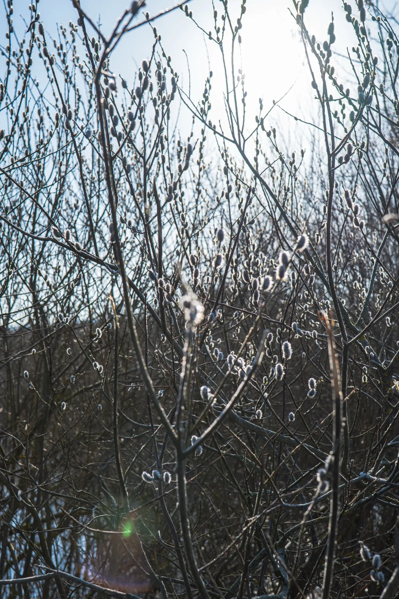 Aerial photograph — Belarus — Earthly