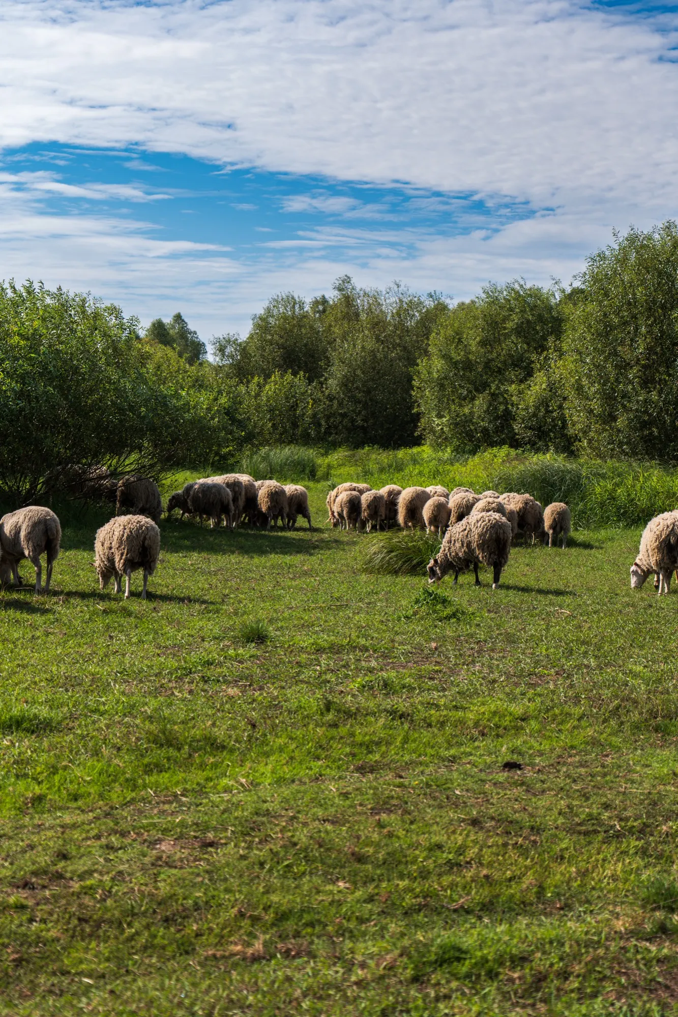 Aerial photograph — Belarus — Earthly