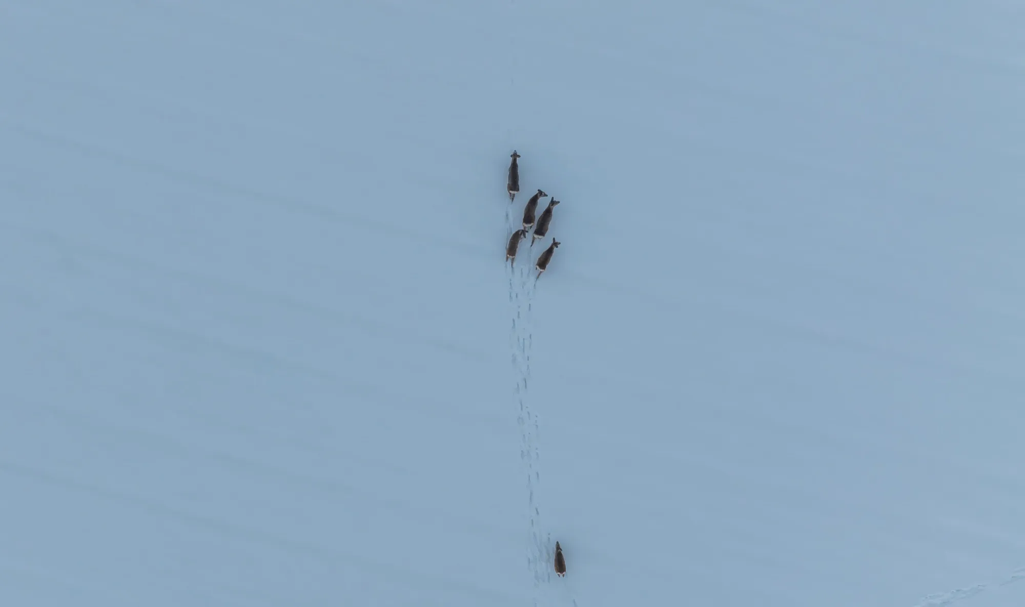 Aerial photograph — Belarus — Earthly