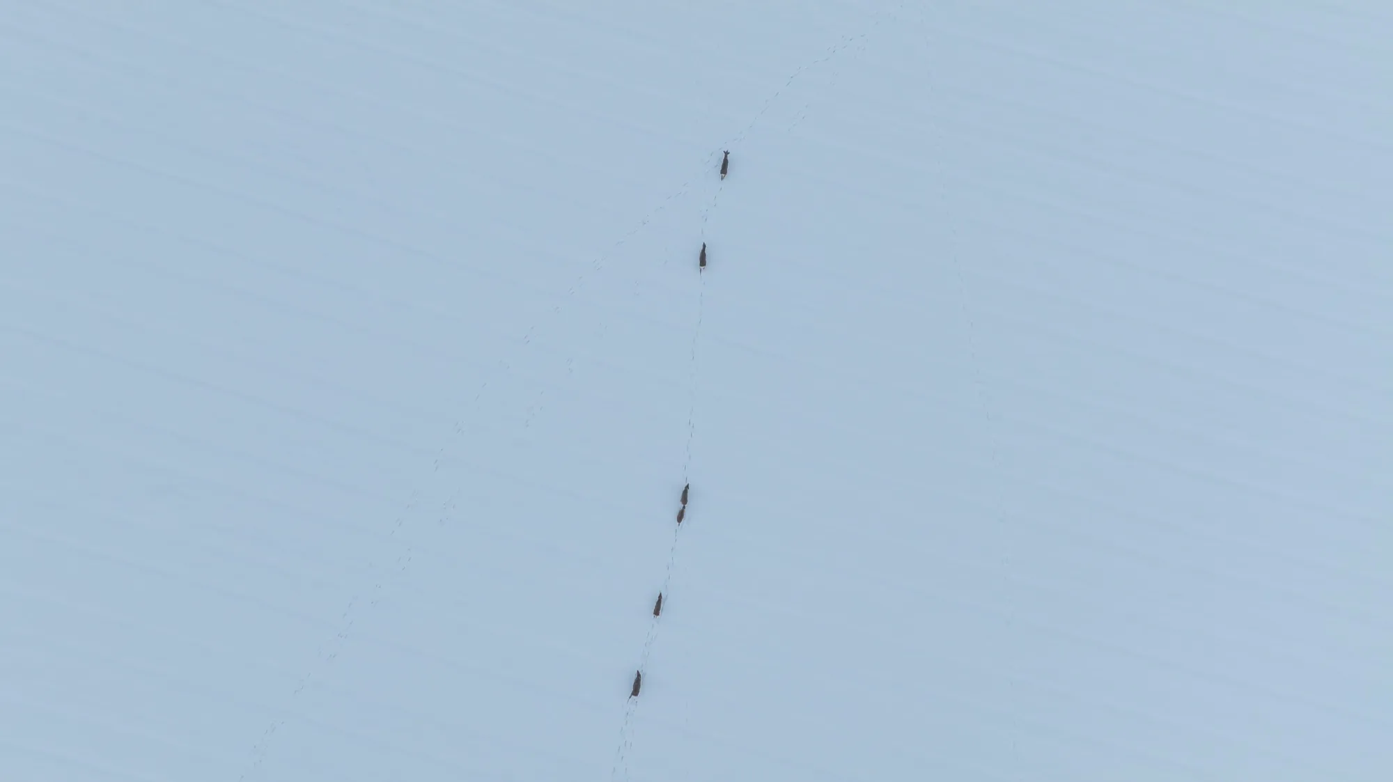 Aerial photograph — Belarus — Earthly