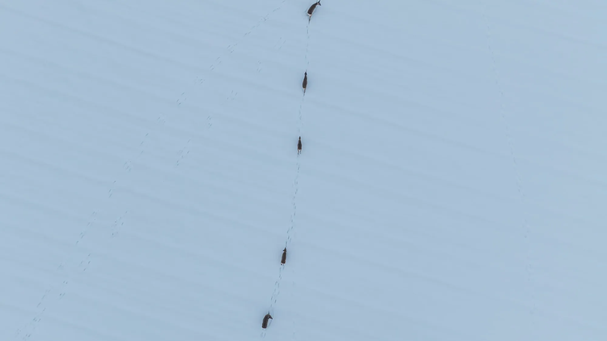 Aerial photograph — Belarus — Earthly