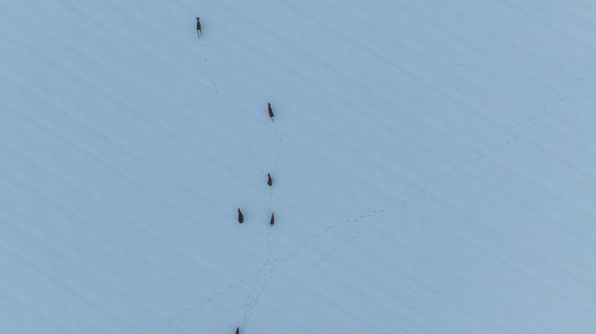 Aerial photograph — Belarus — Earthly