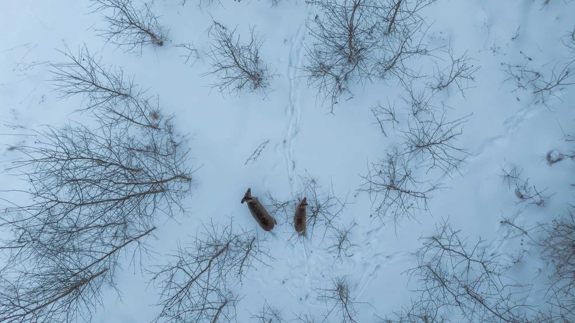 Aerial photograph — Belarus — Earthly