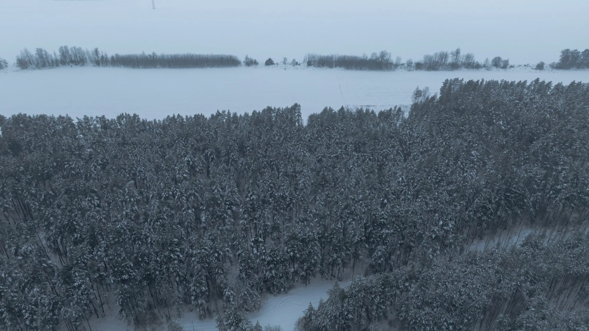 Aerial photograph — Belarus — Earthly