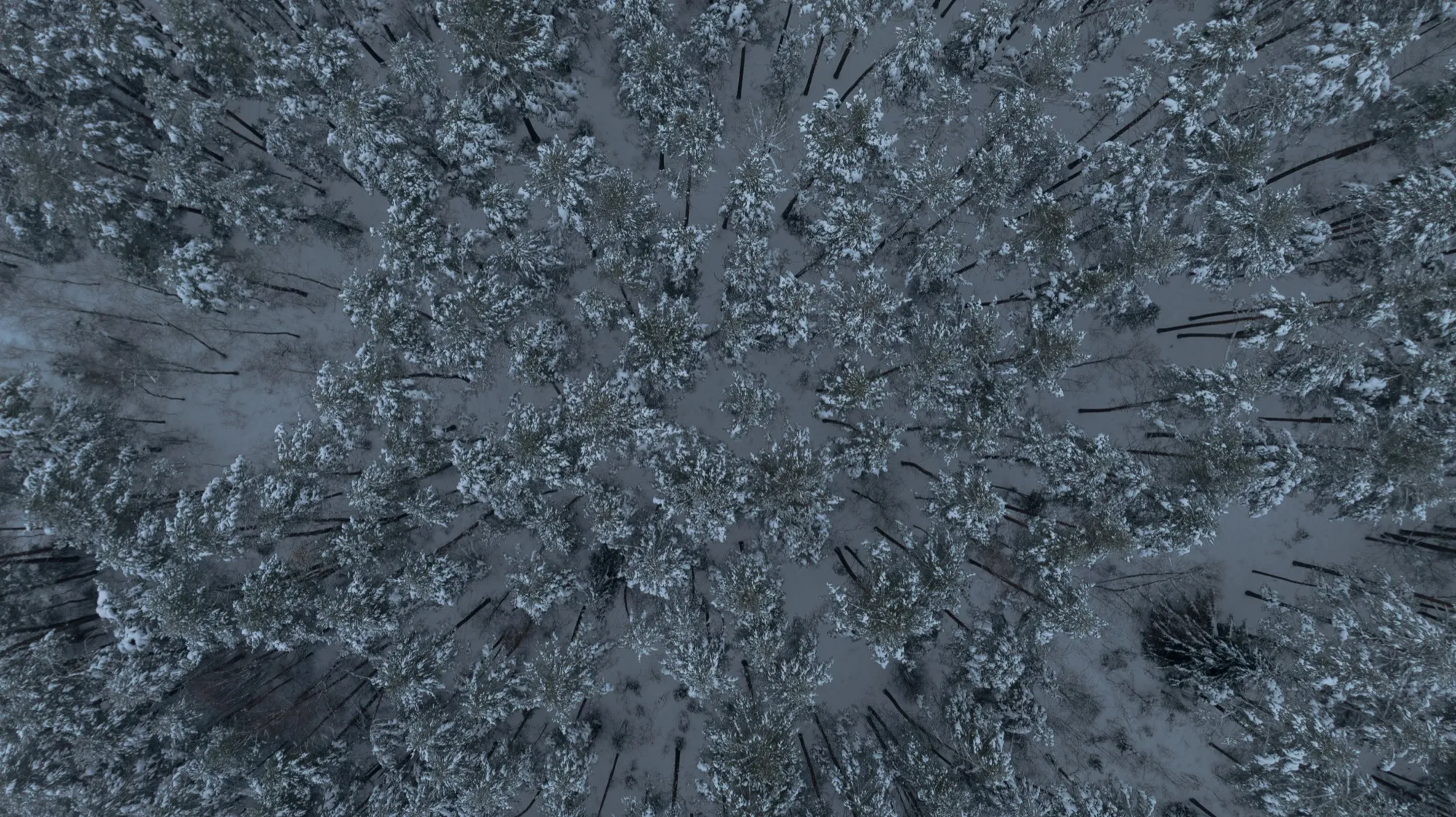 Aerial photograph — Belarus — Earthly