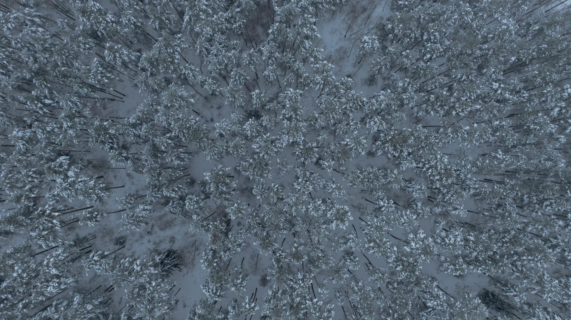 Aerial photograph — Belarus — Earthly