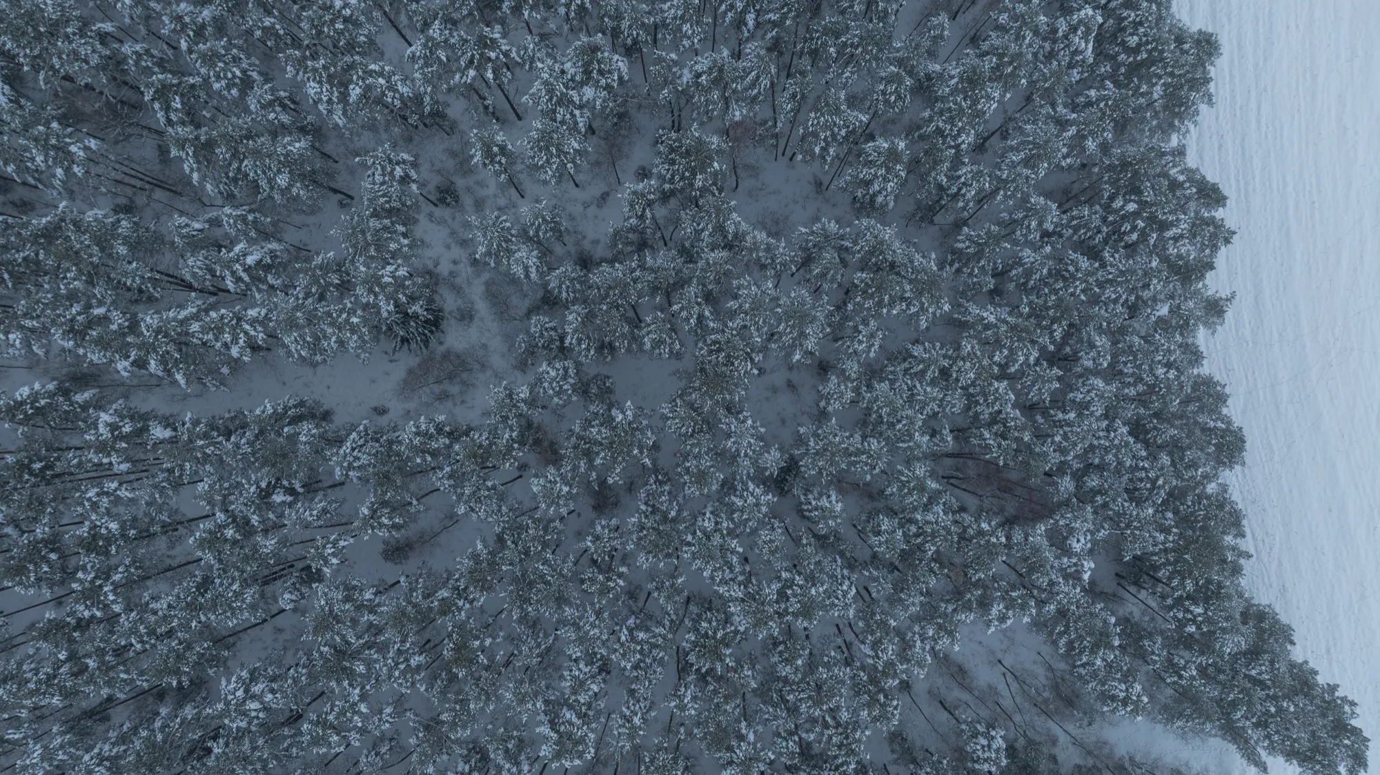 Aerial photograph — Belarus — Earthly