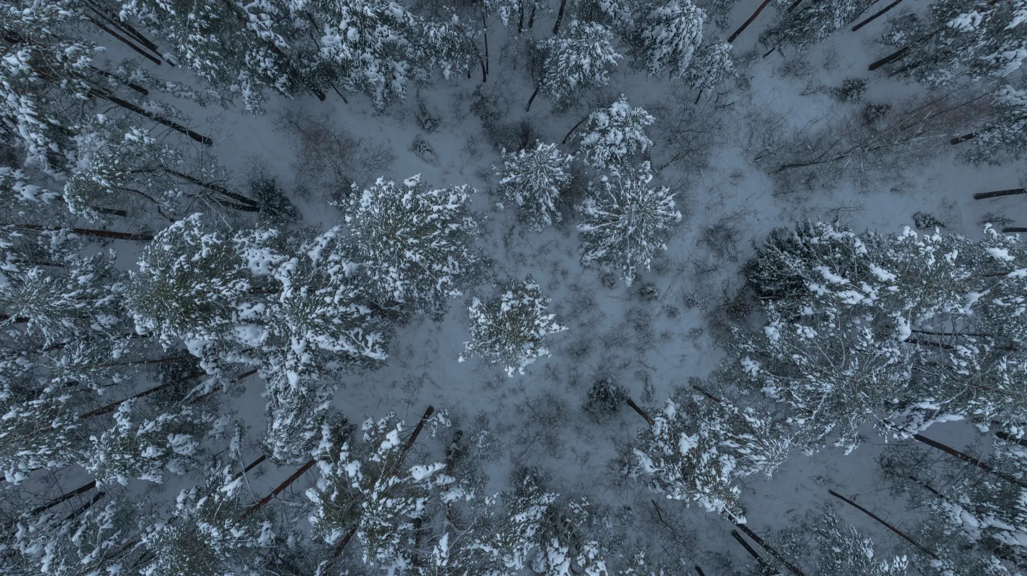 Aerial photograph — Belarus — Earthly