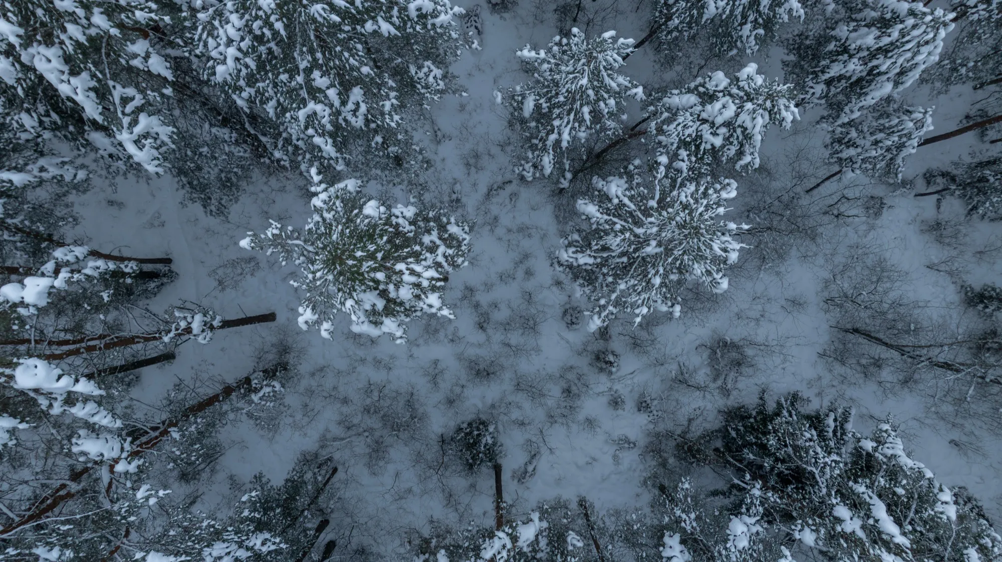 Aerial photograph — Belarus — Earthly
