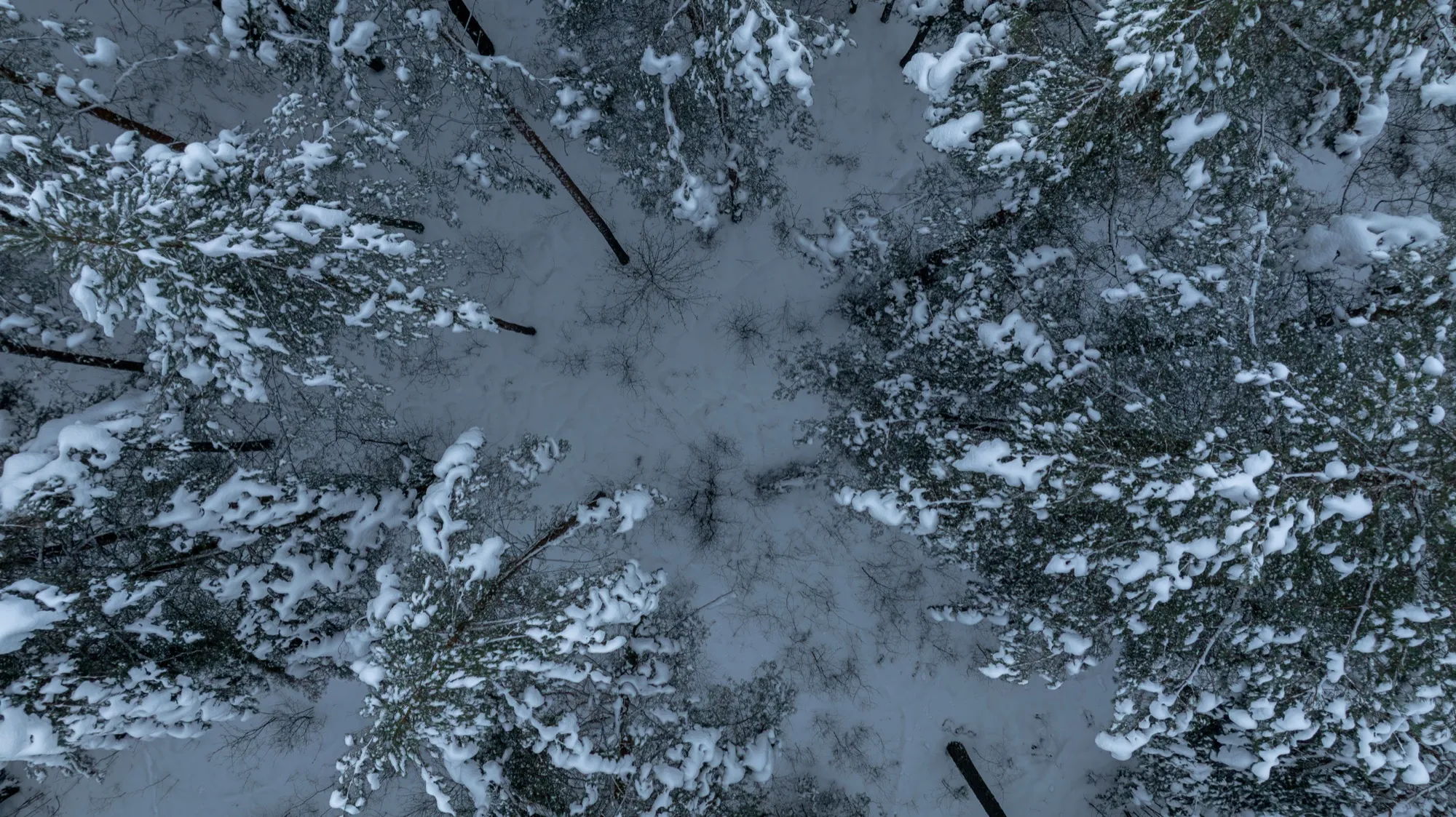 Aerial photograph — Belarus — Earthly