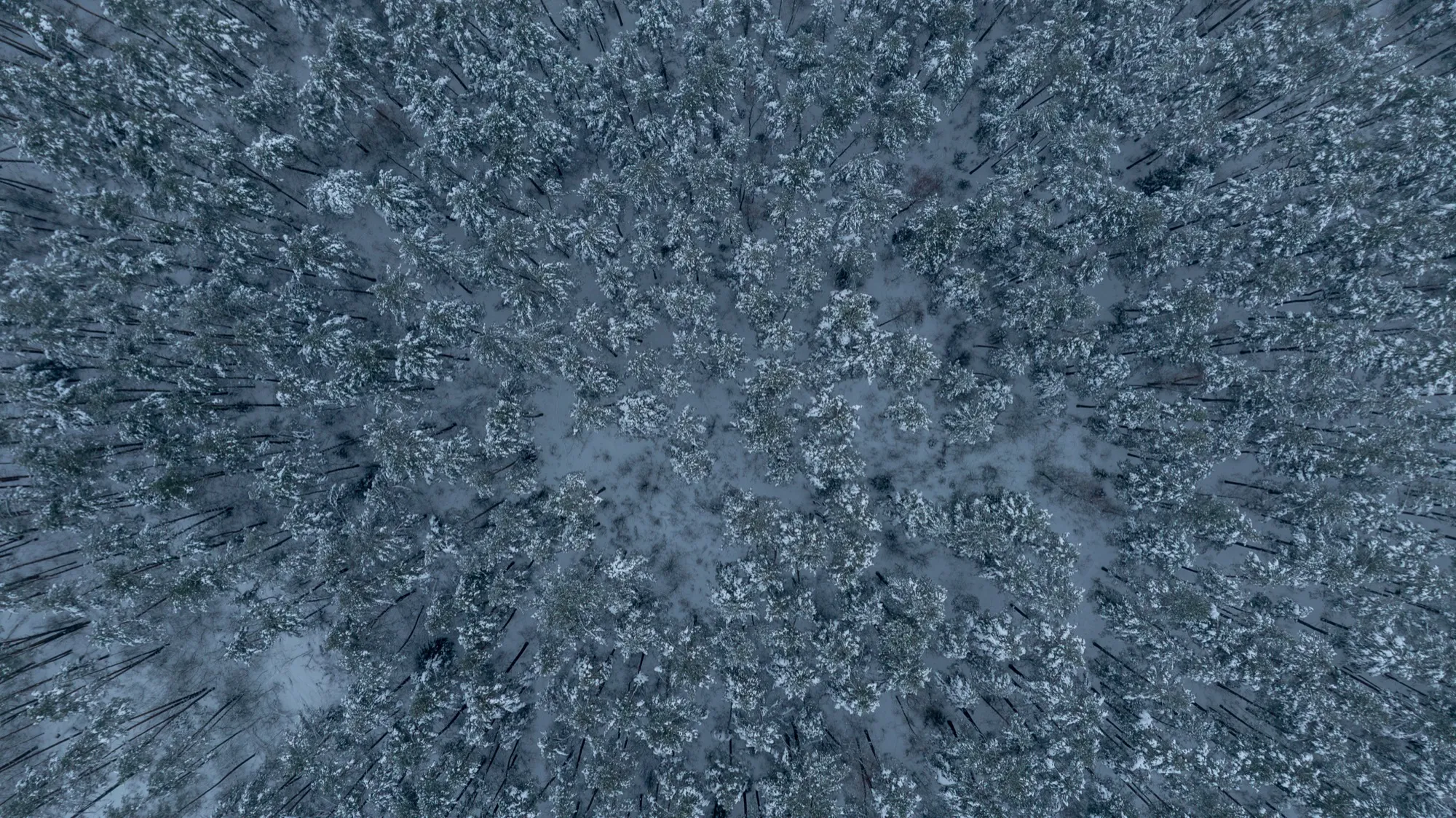 Aerial photograph — Belarus — Earthly