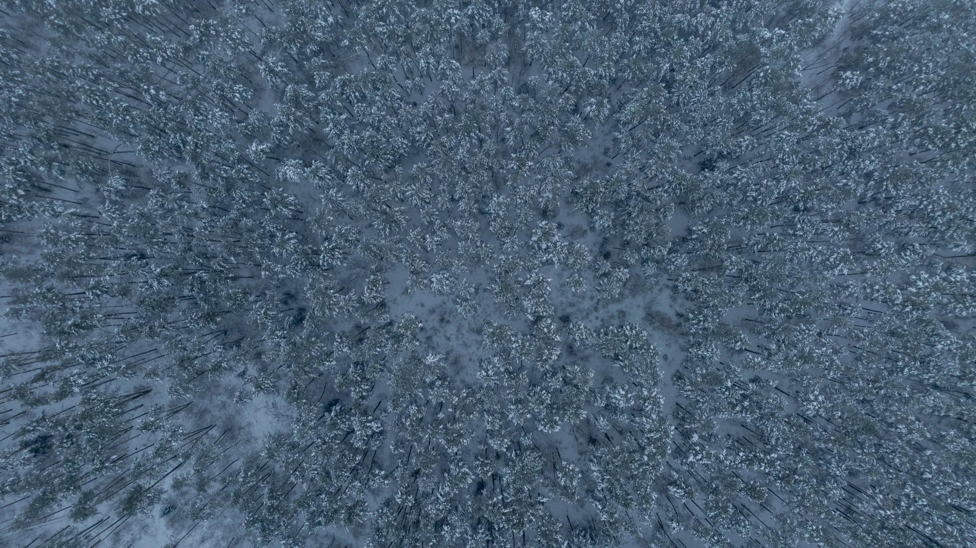 Aerial photograph — Belarus — Earthly