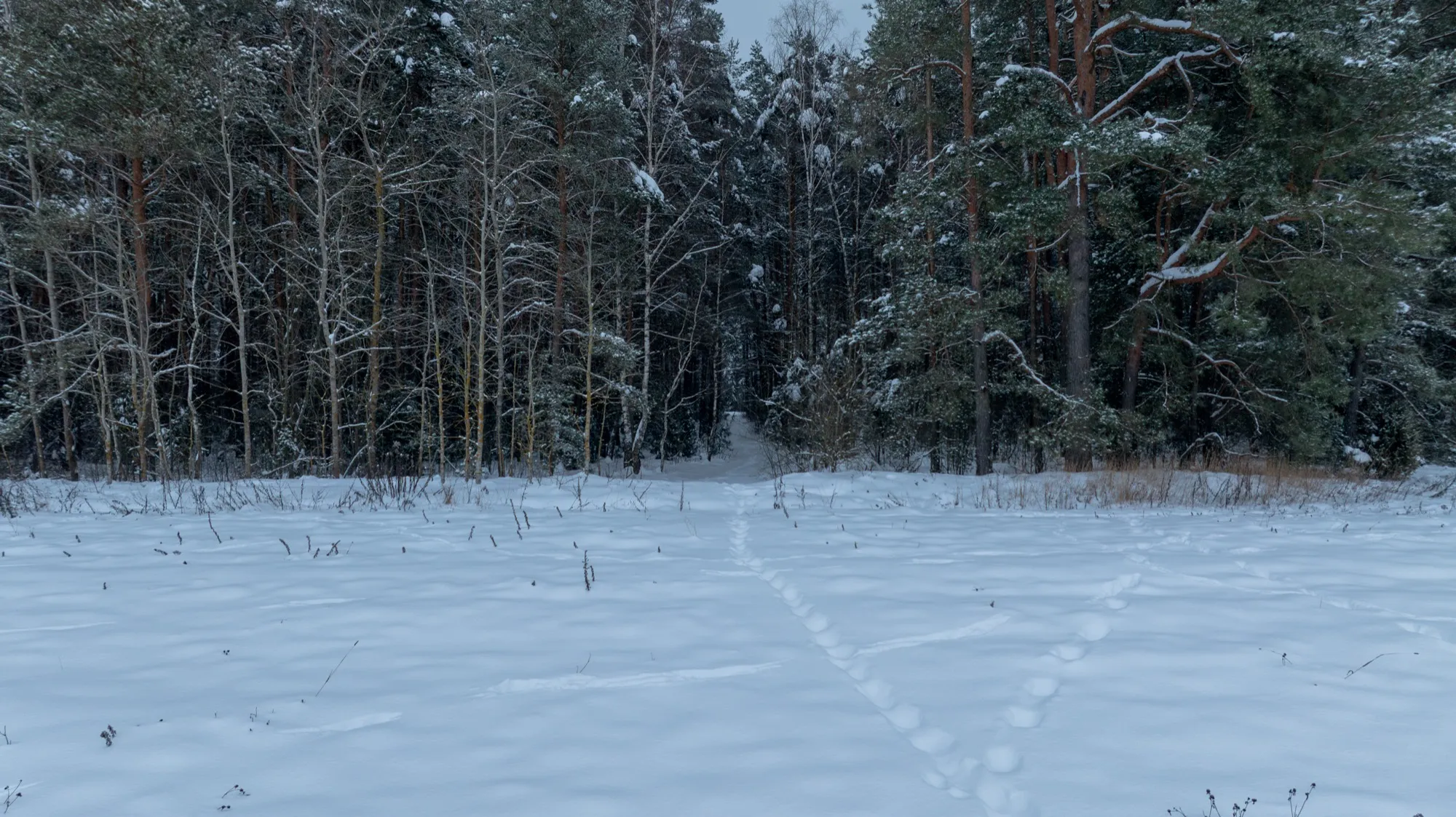Aerial photograph — Belarus — Earthly