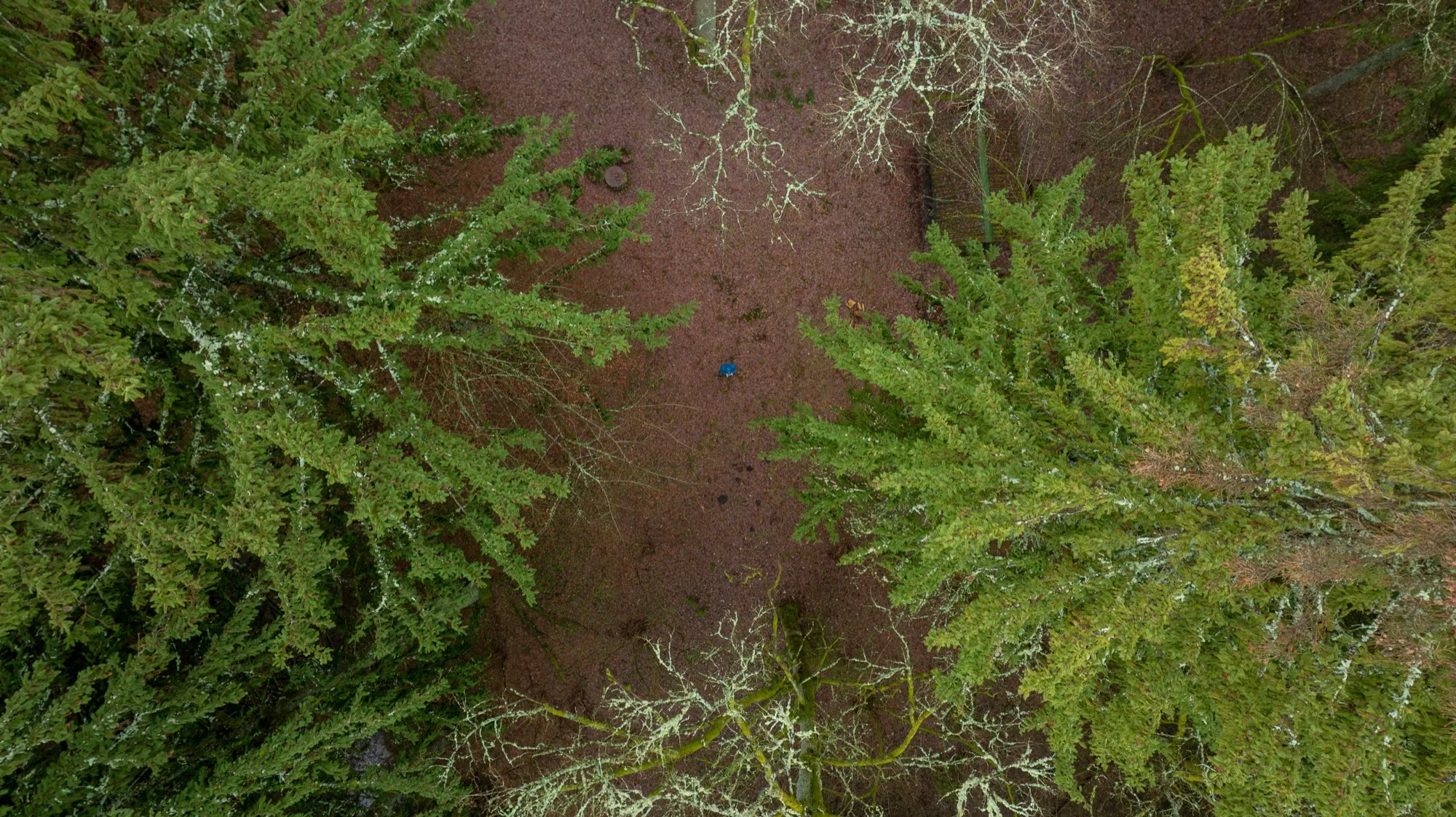Aerial photograph — Belarus — Earthly