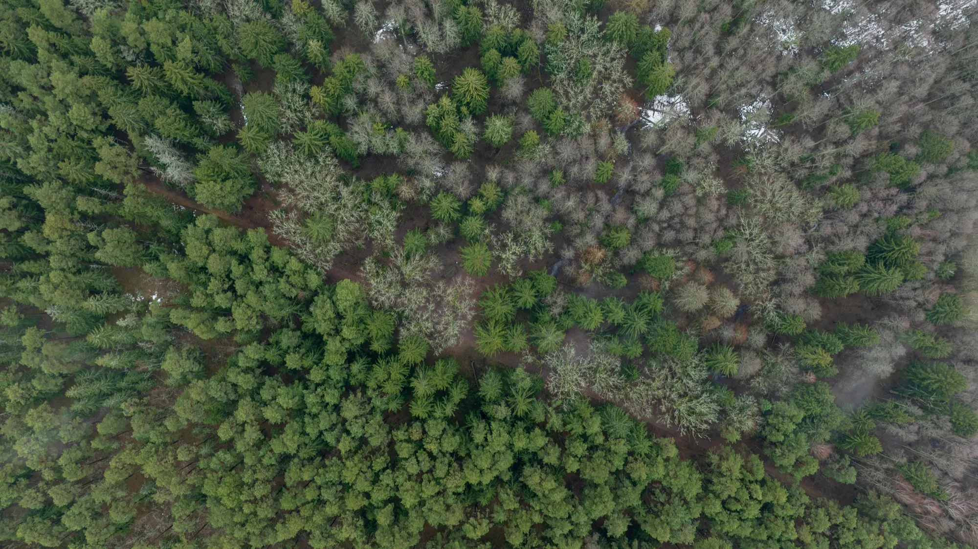 Aerial photograph — Belarus — Earthly
