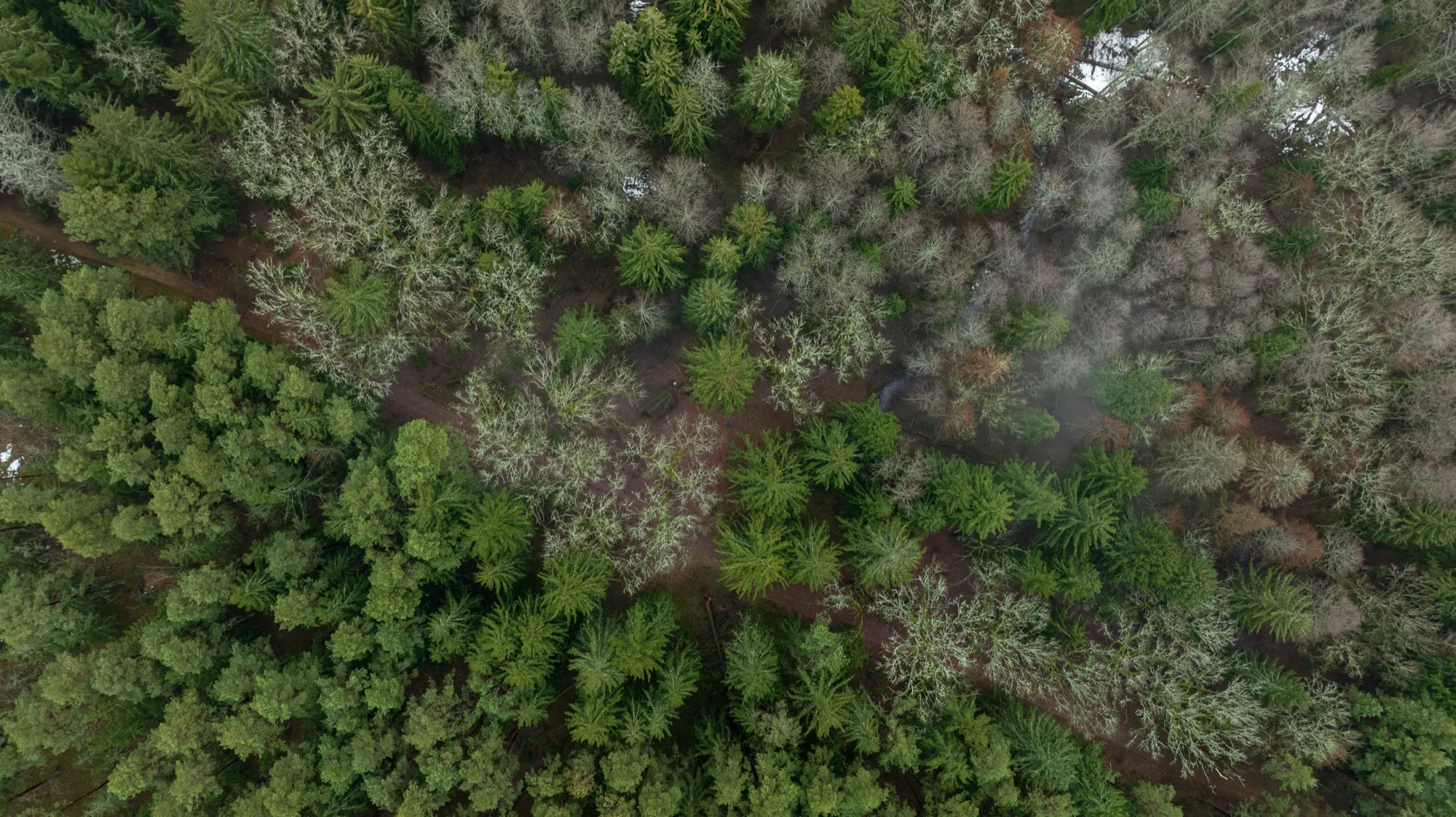Aerial photograph — Belarus — Earthly