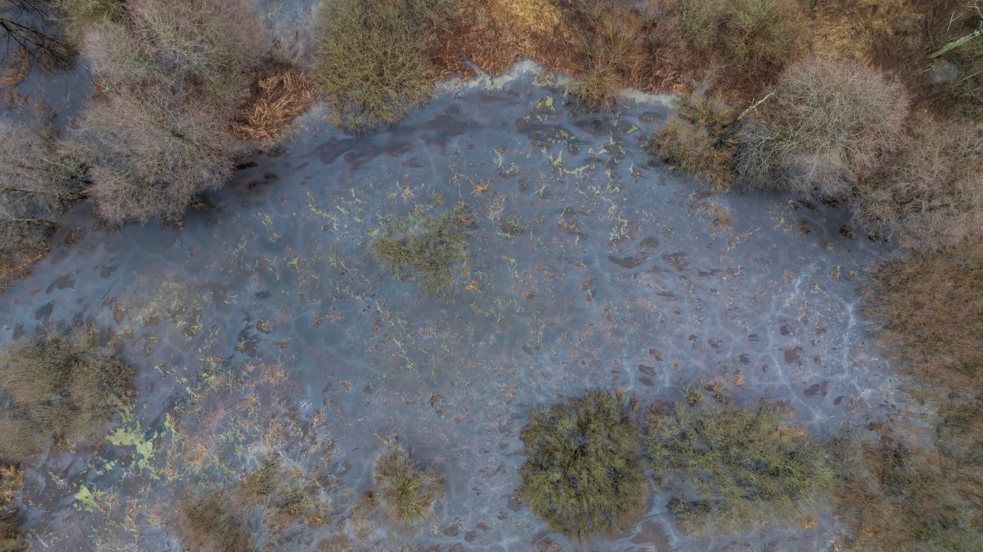Aerial photograph — Belarus — Earthly