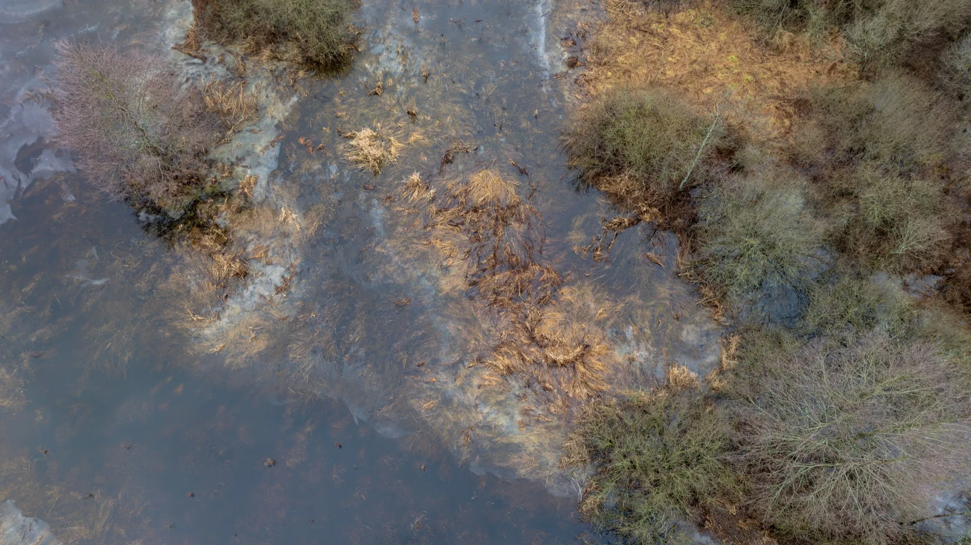 Aerial photograph — Belarus — Earthly