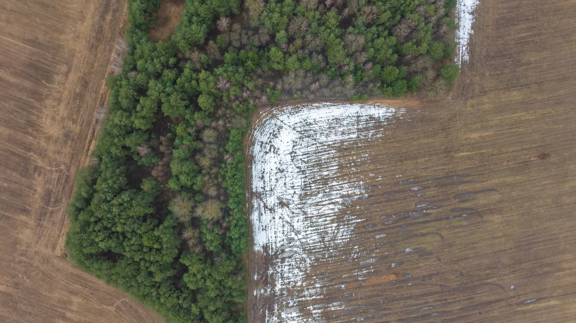 Aerial photograph — Belarus — Earthly