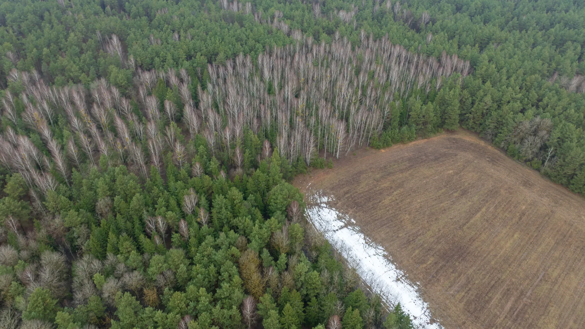 Aerial photograph — Belarus — Earthly